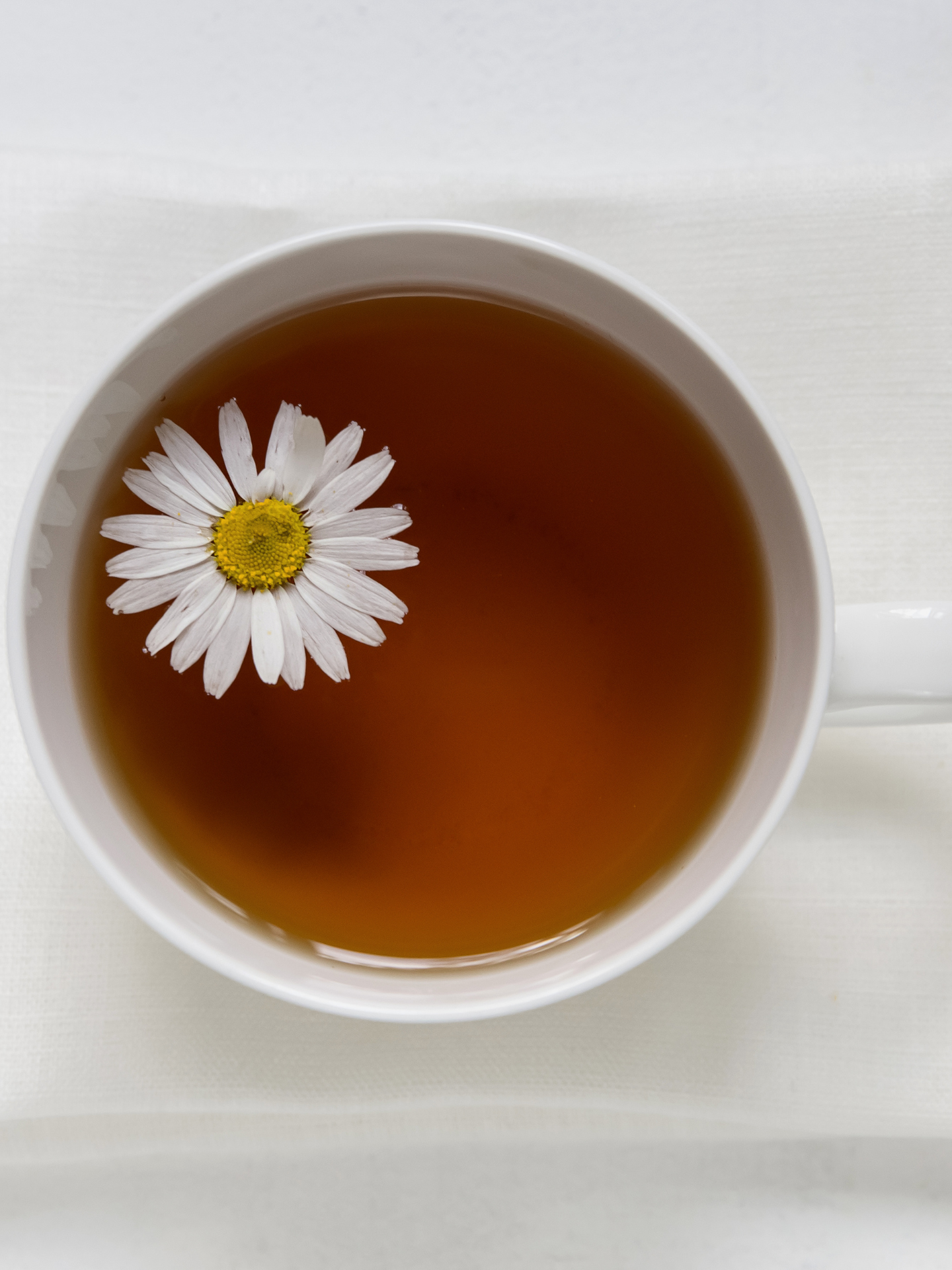 Untitled design (48).png