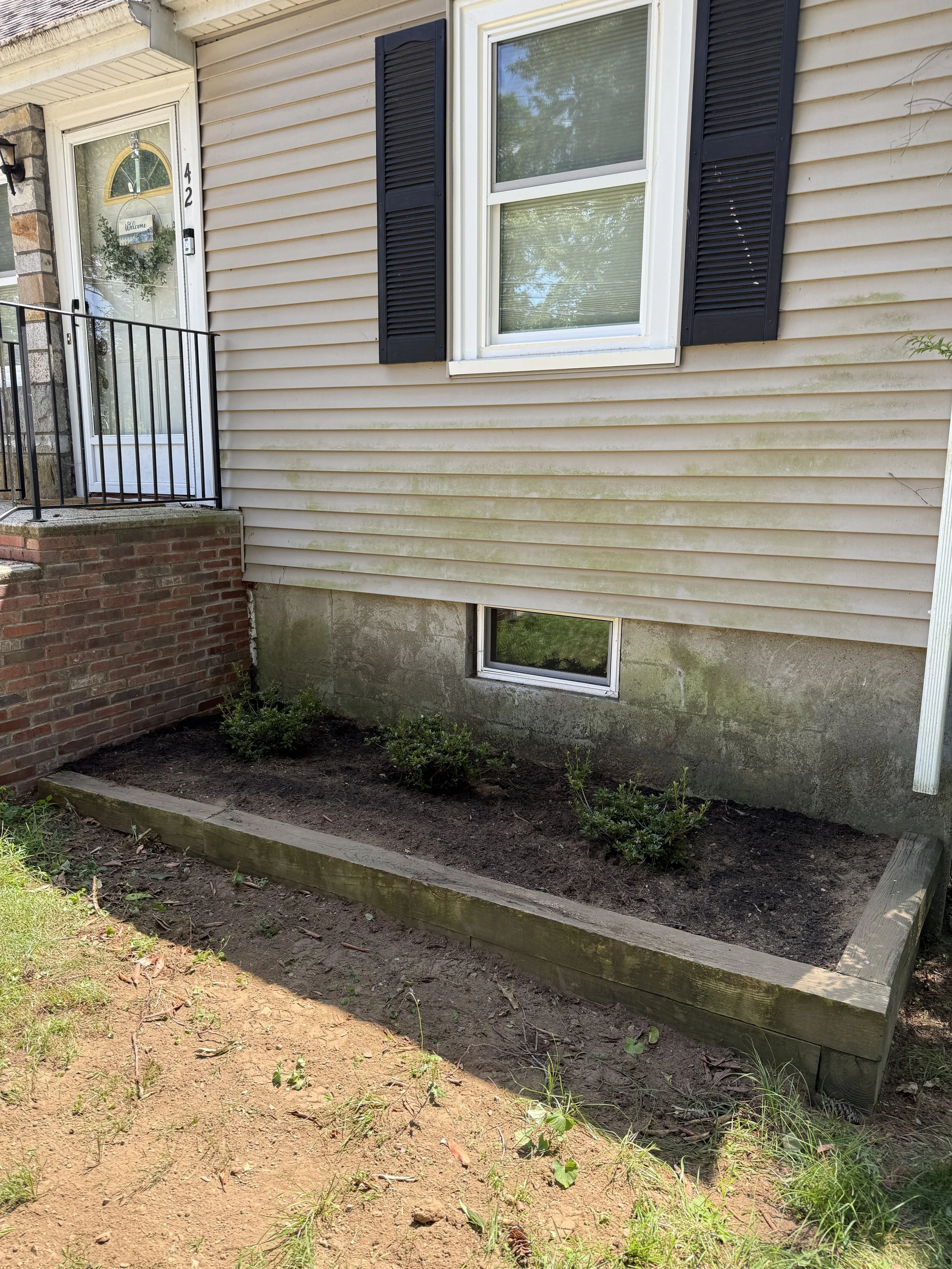 Overgrown Bush Removal & Planting New Flowers