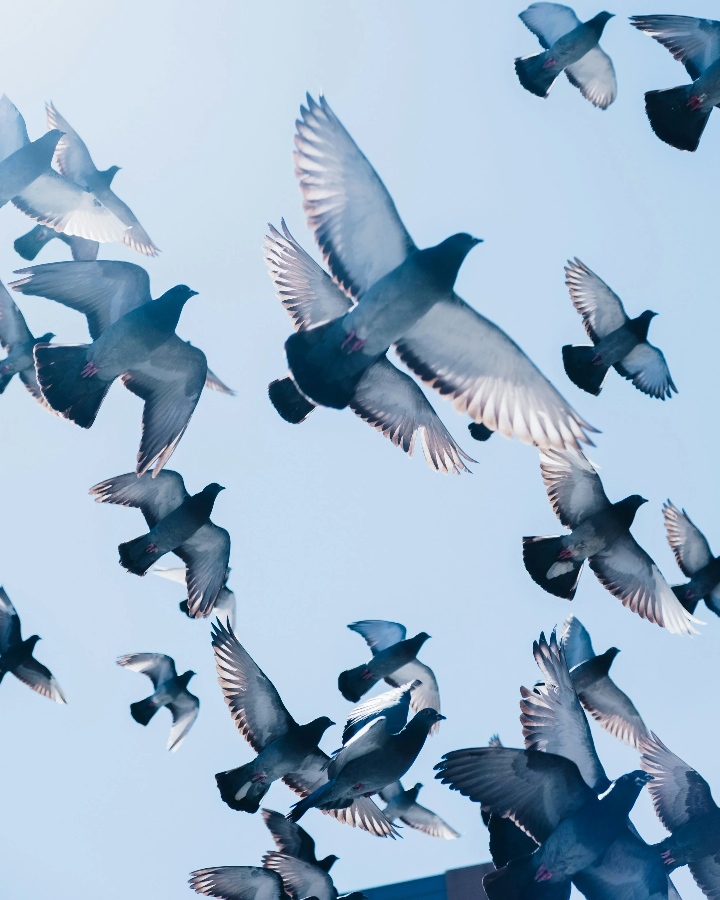 The power of collective conversations