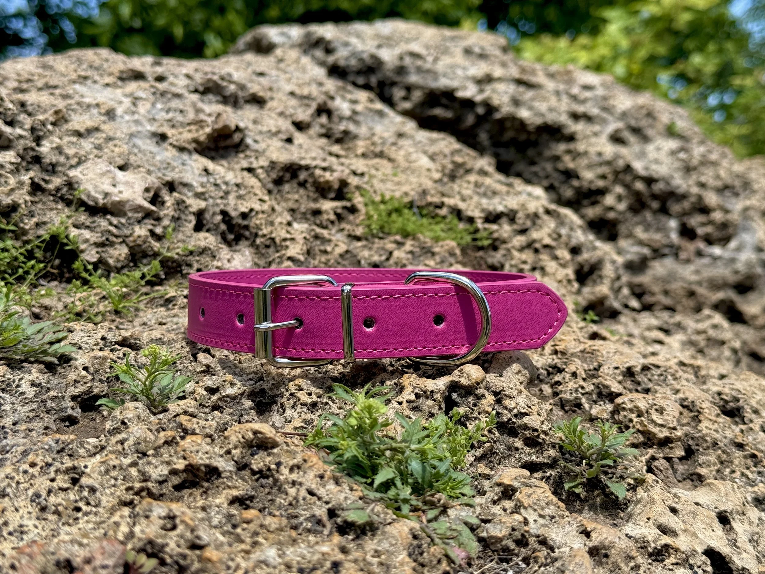 Bright Around The Corner Adjustable Leather Dog Collar