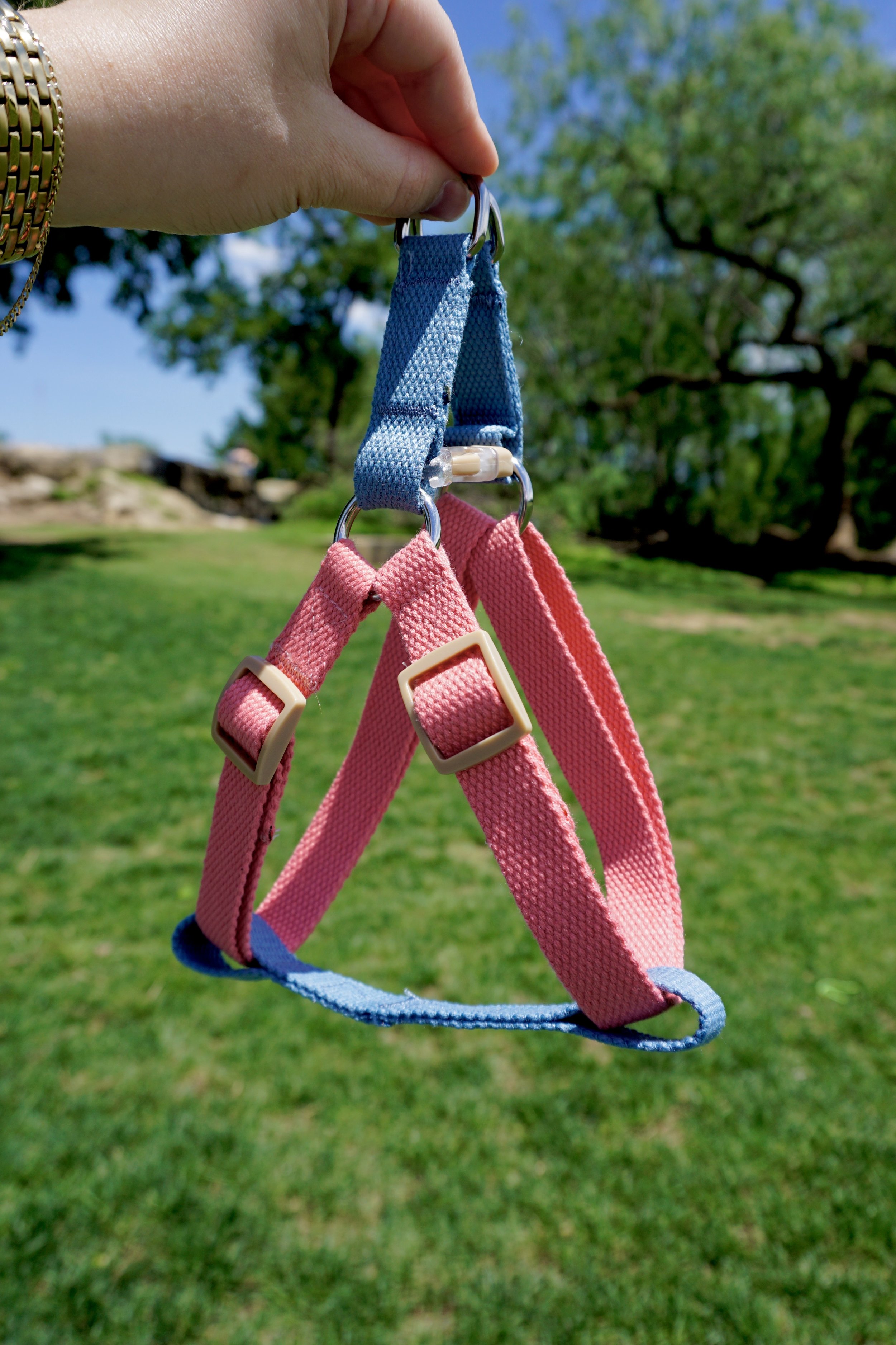 _DSC1022.jpeg