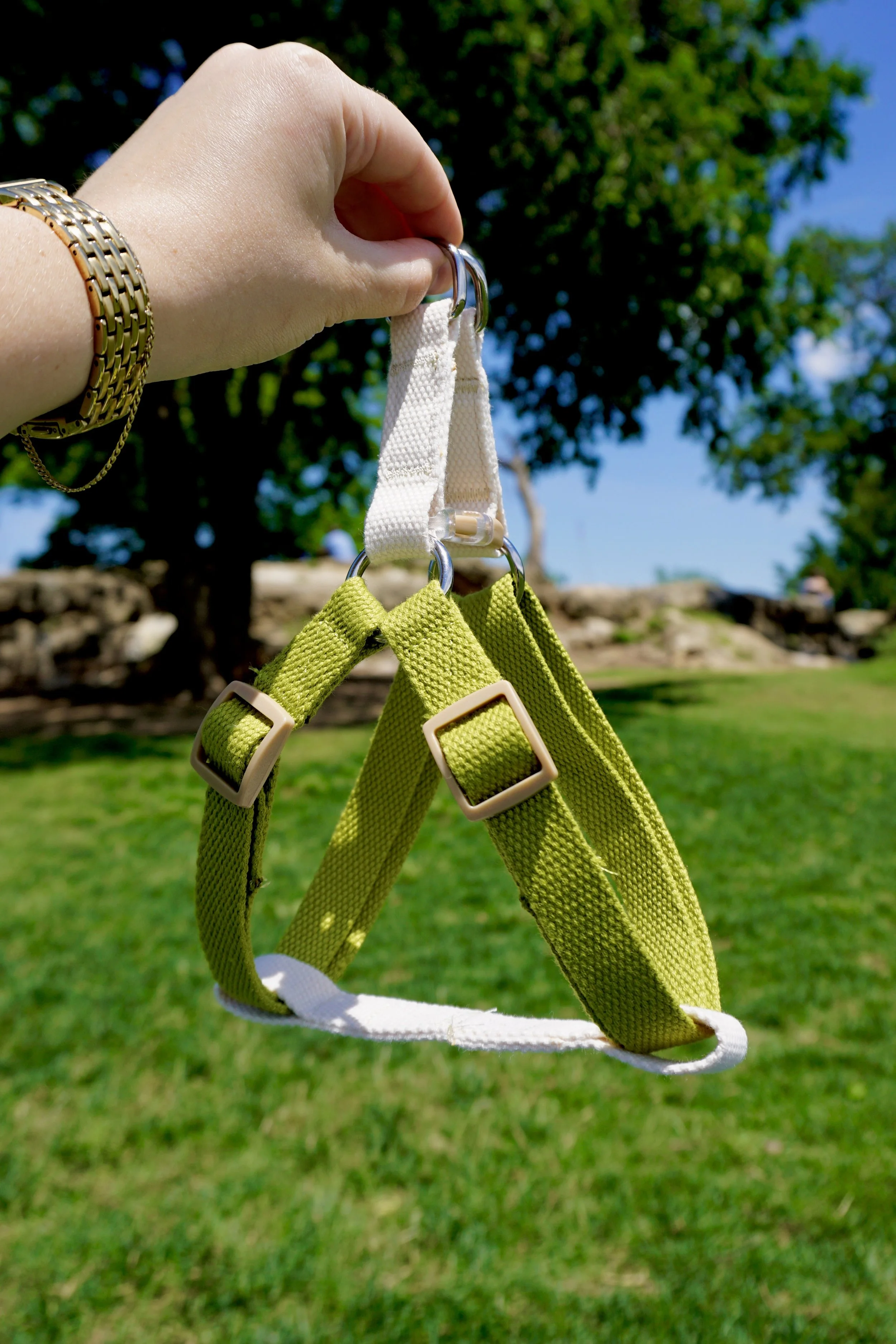 Bright Around The Corner Adjustable Harness