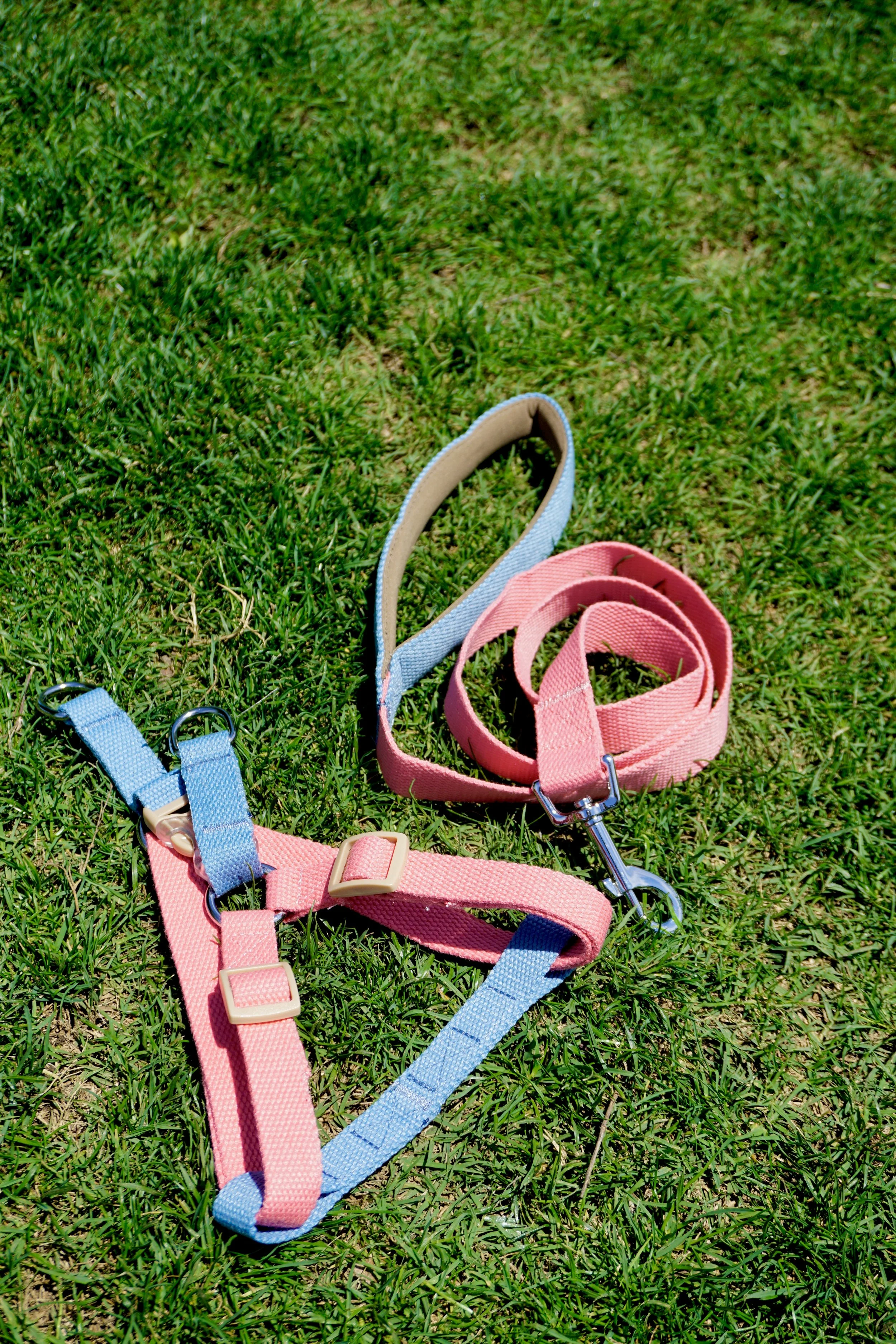 _DSC1030.jpeg