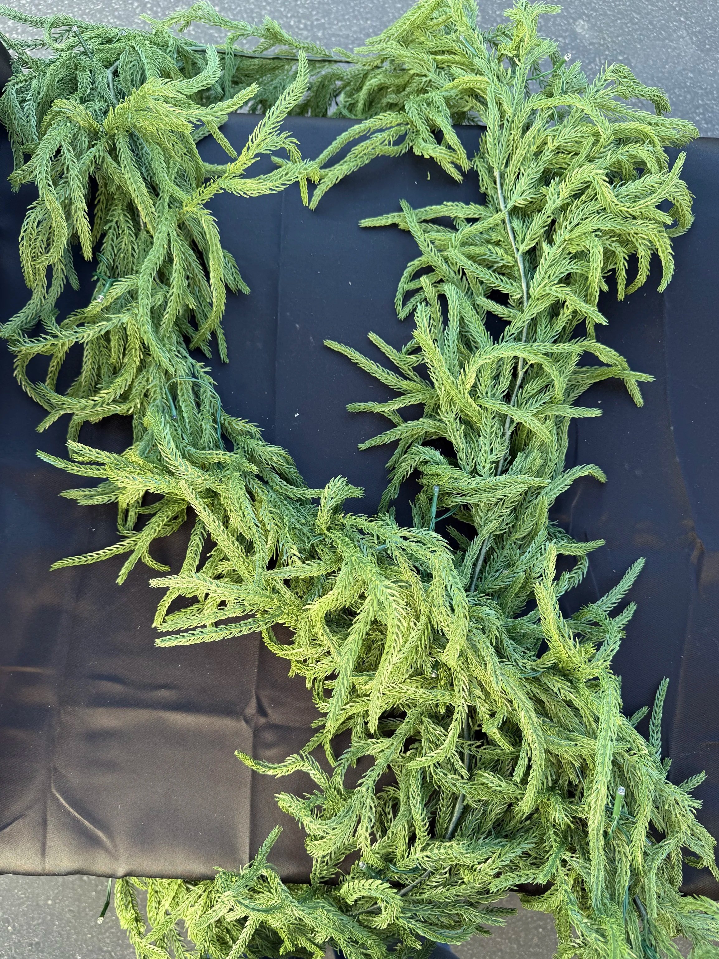 Fir Garland
Pickup or Delivery — $5 each

(delivery fee based on mileage)