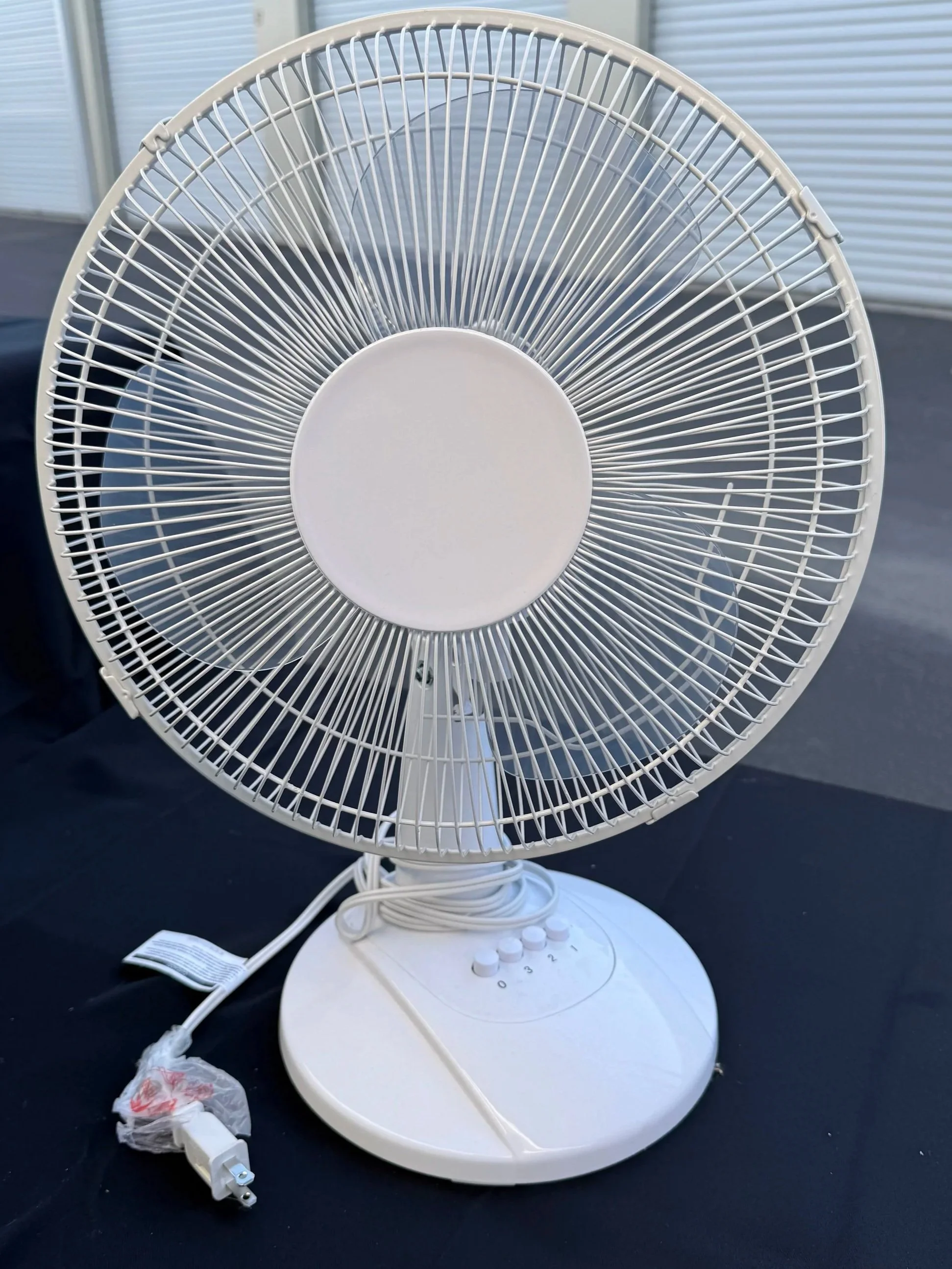 Decorative White Fan
Pickup or Delivery — $5 each

(ideal for food displays or bridal suite styling - delivery fee based on mileage)