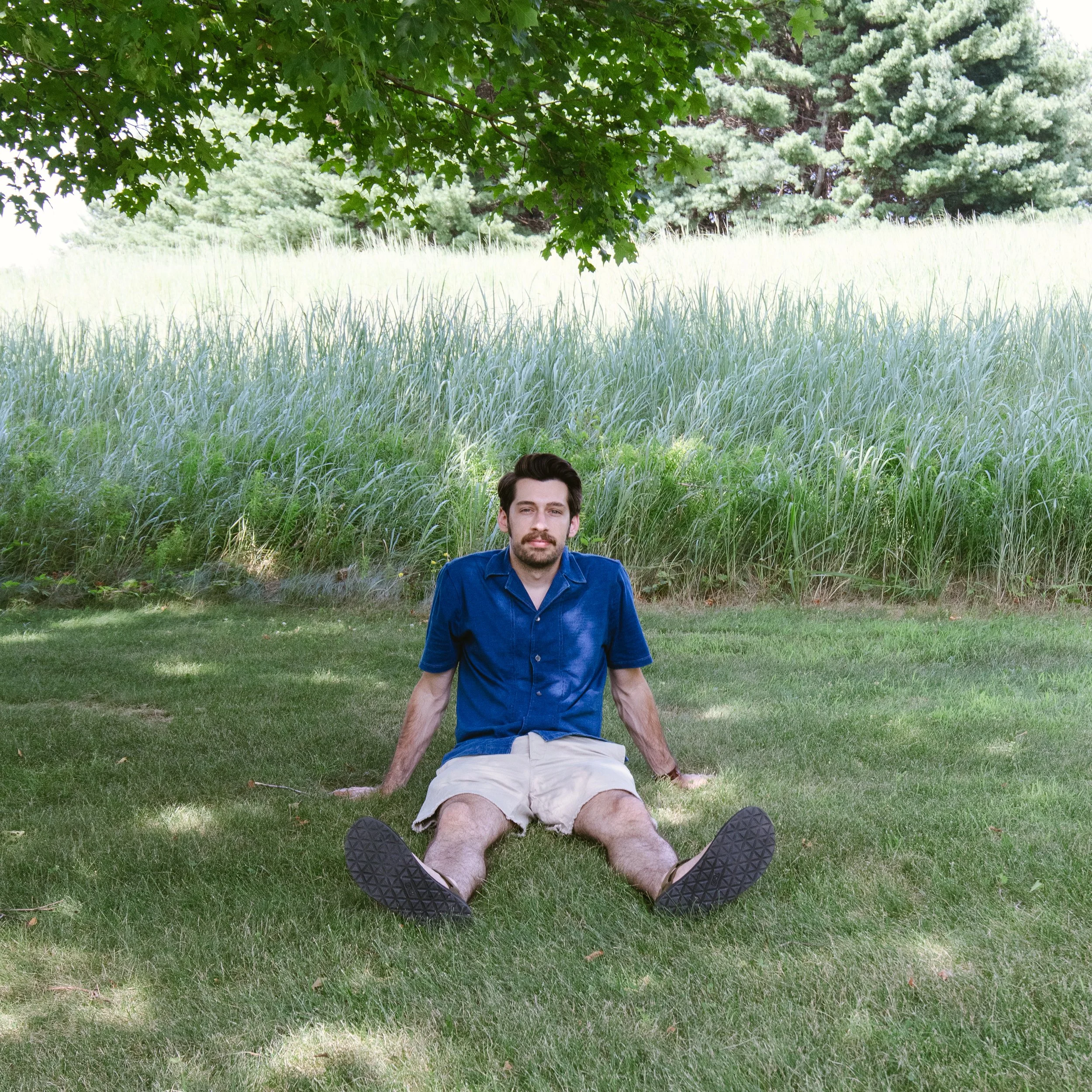 A man sitting on the grass under a tree in a park, with a grassy field and trees in the background.