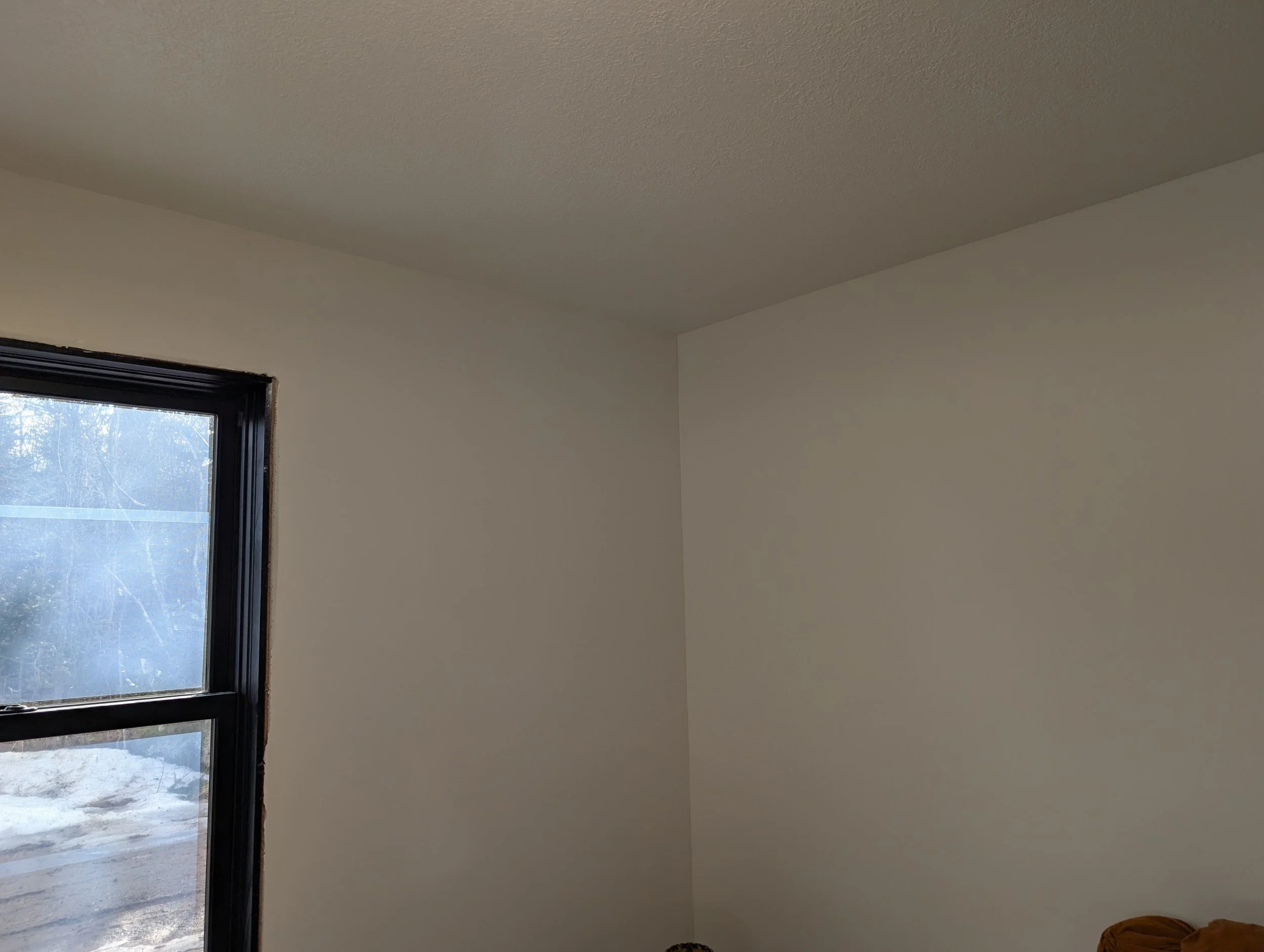 PXL_20260309_145349119.MP.jpg