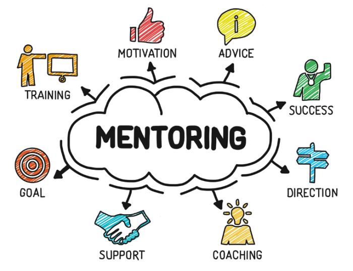 Mentorship Program