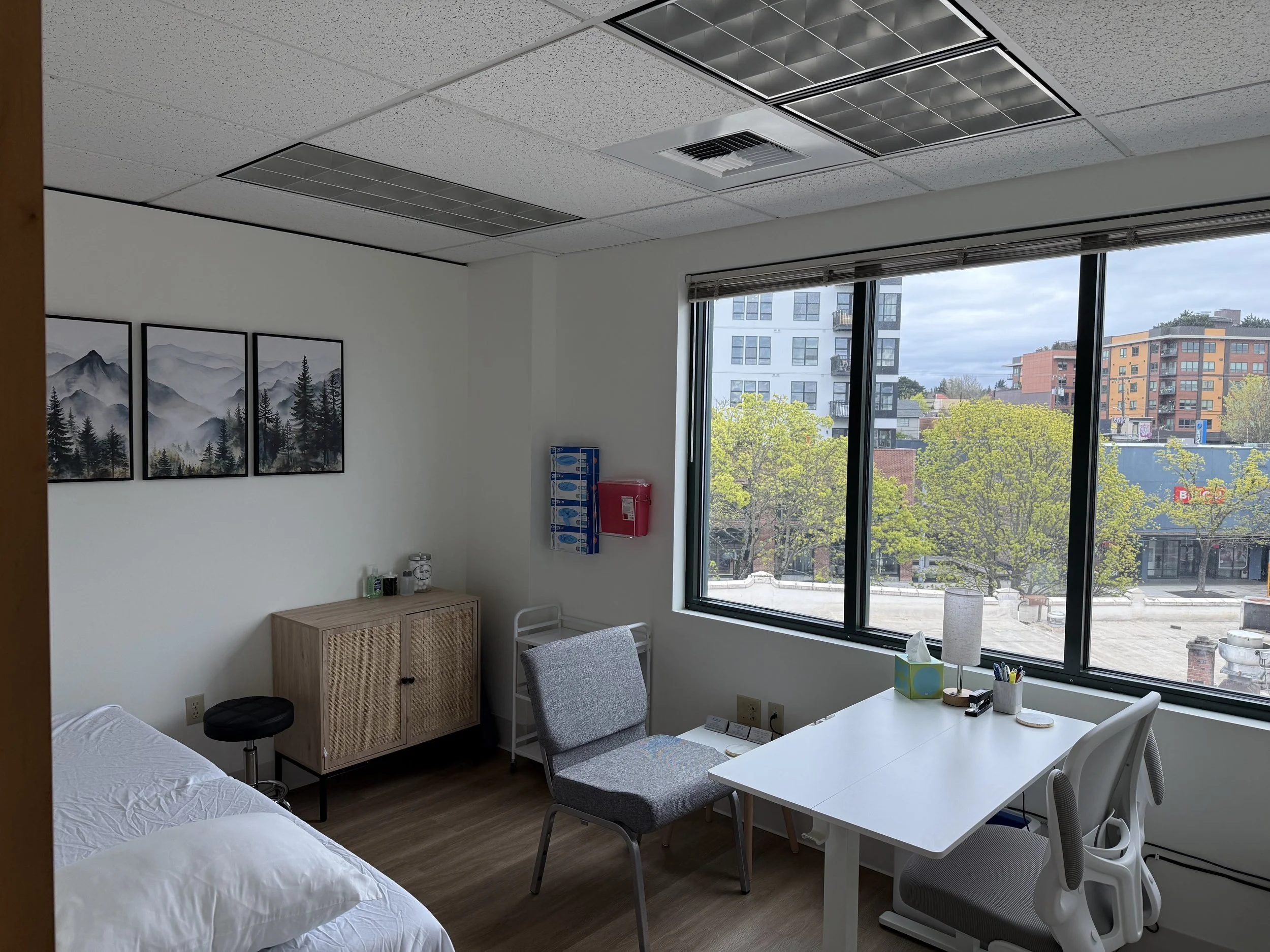 Naturopathic Medicine Chronic Illness 98117 98107.jpg