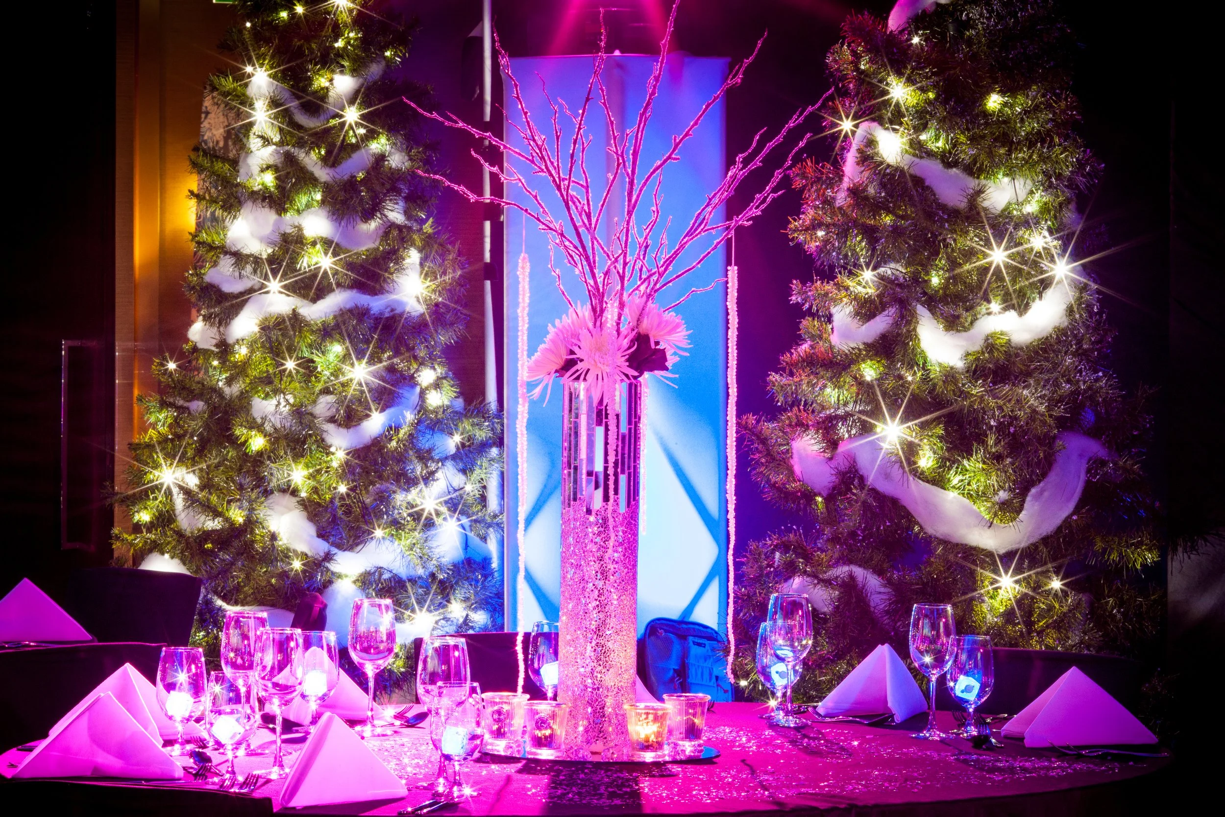 Sony Computer Entertainment – Conference / Incentive