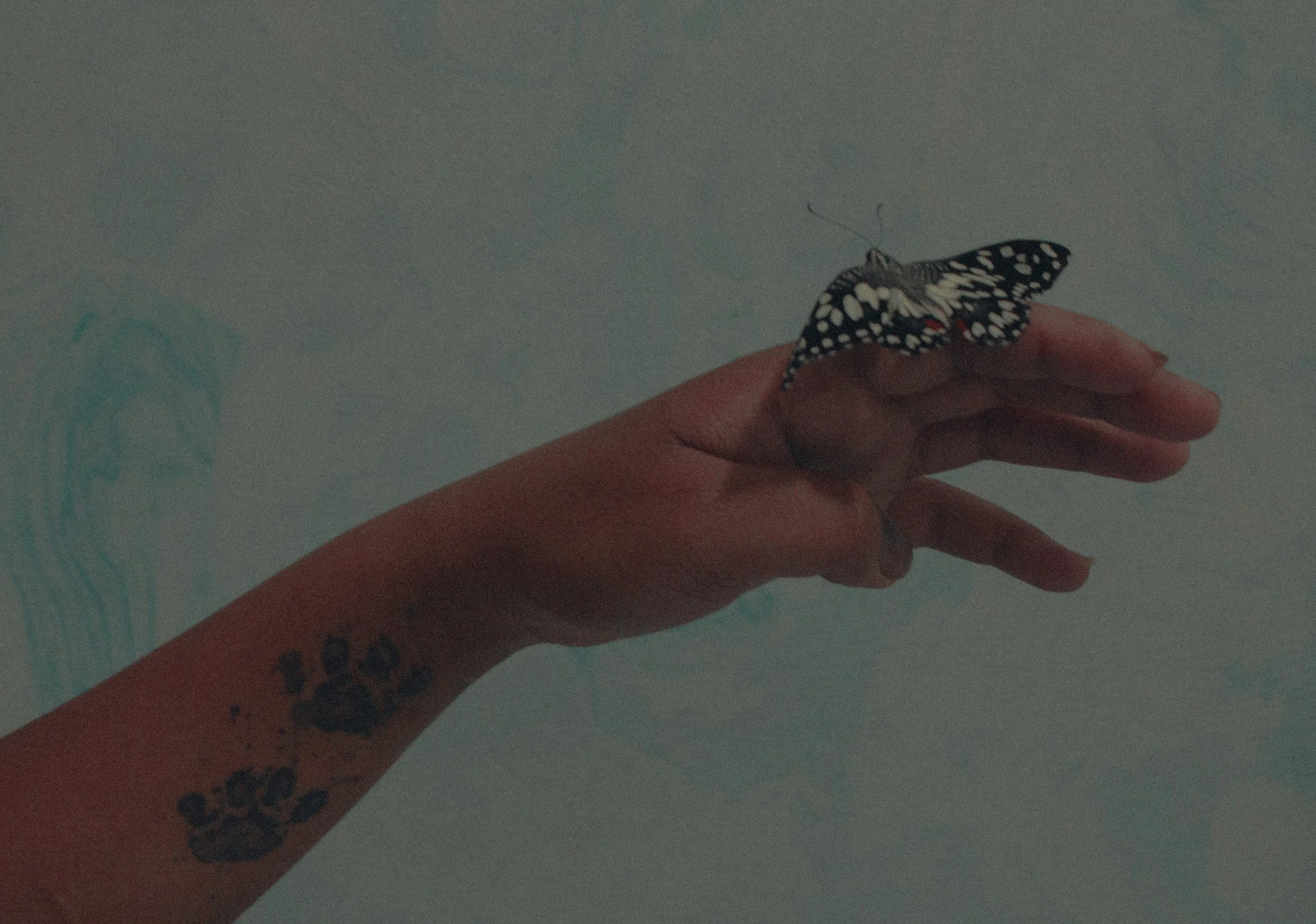 Integration After Tattooing