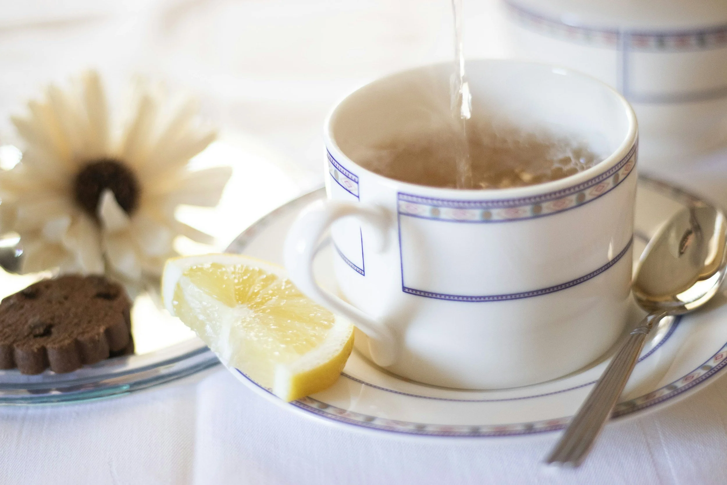 Gentle Renewal: Spring Cleansing &amp; the Regulated Body
