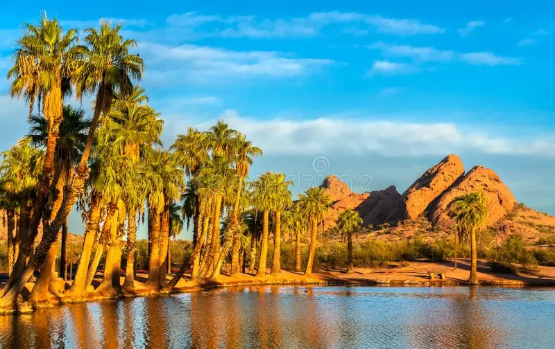 How to Plan a Corporate Holiday Party in Scottsdale That People Actually Want to Attend Target 