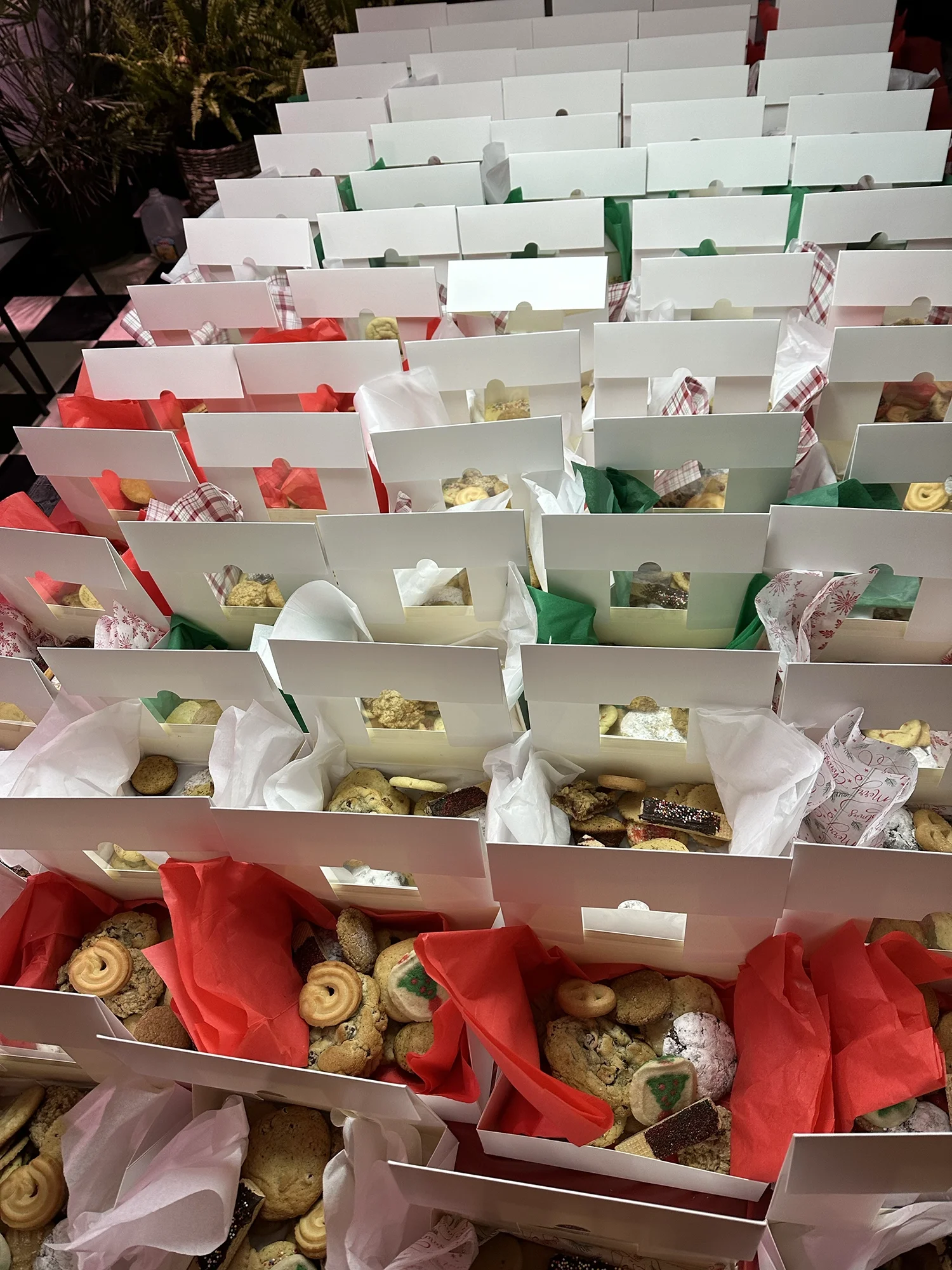 Rows of boxed baked goods and treats prepared for community distribution or donation.
