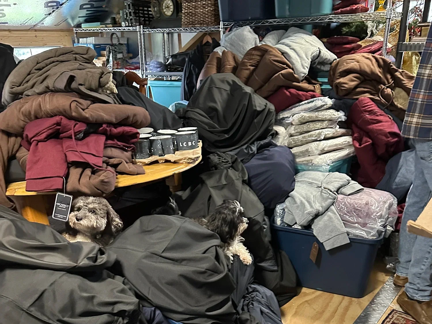 Cluttered storage area with piled jackets, blankets, and shirts, along with two small dogs resting among the items.