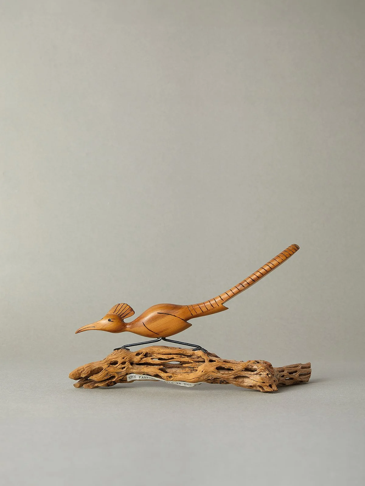 Desert Roadrunner featured in Formations magazine