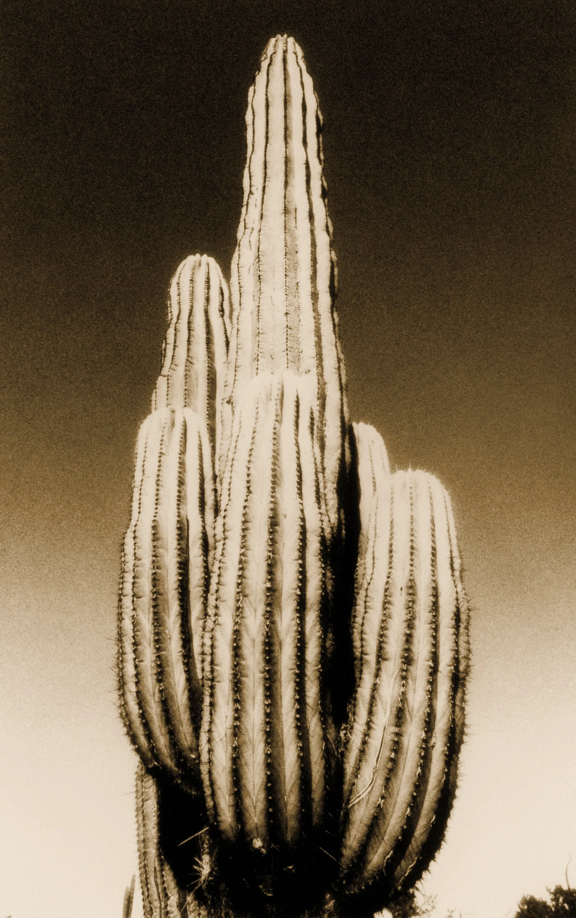 Photograph by Melanie Nissen featured in Formations Issue One