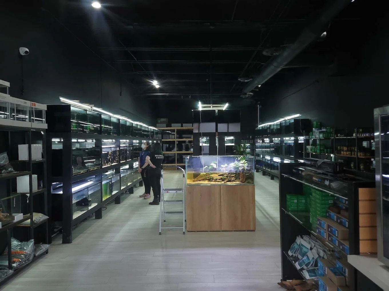 Durable interior finishes and commercial painting for a high-humidity retail environment in the Pacific Northwest.