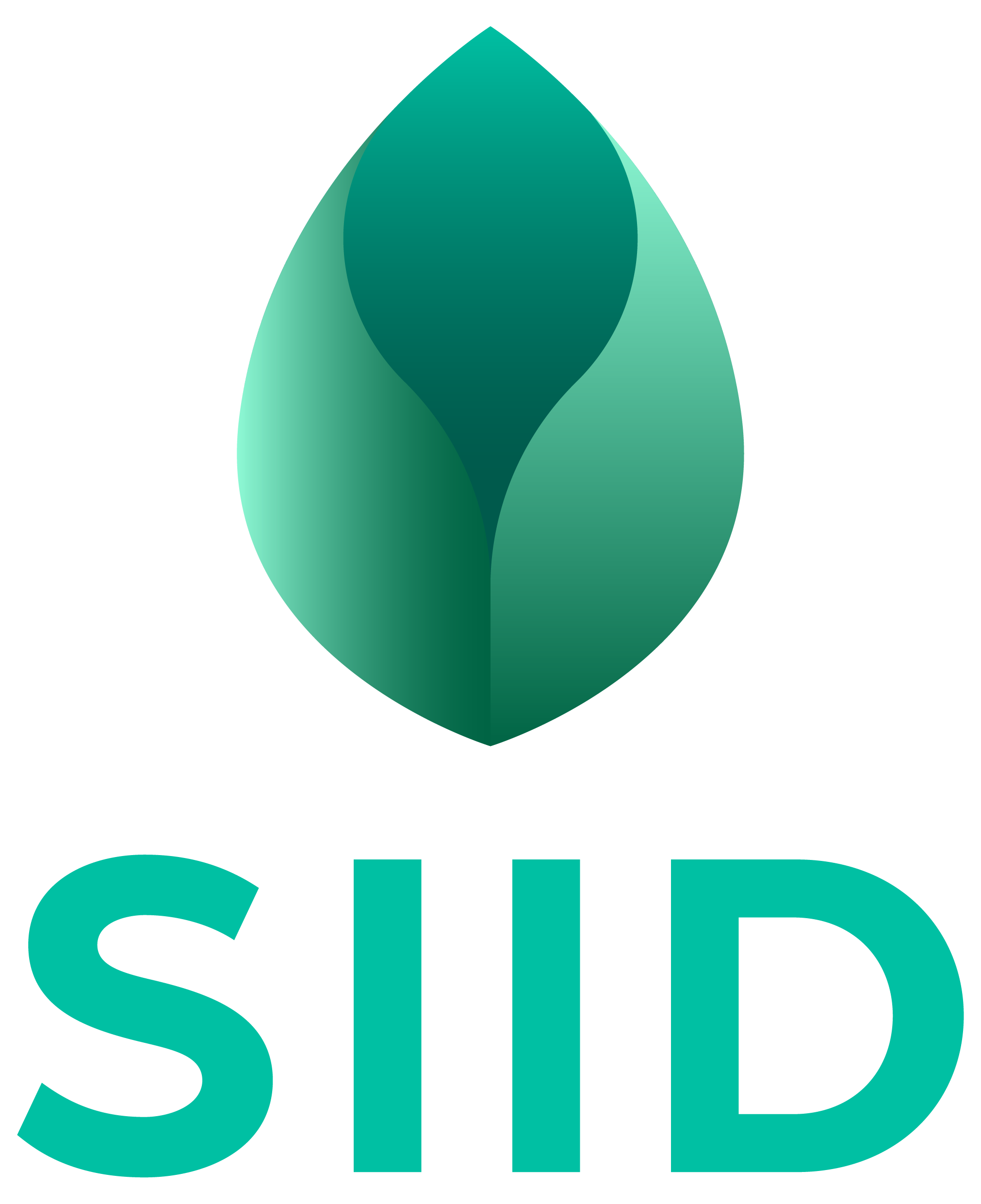 The logo features a stylized green leaf above the word 'SUID' in bold turquoise letters.
