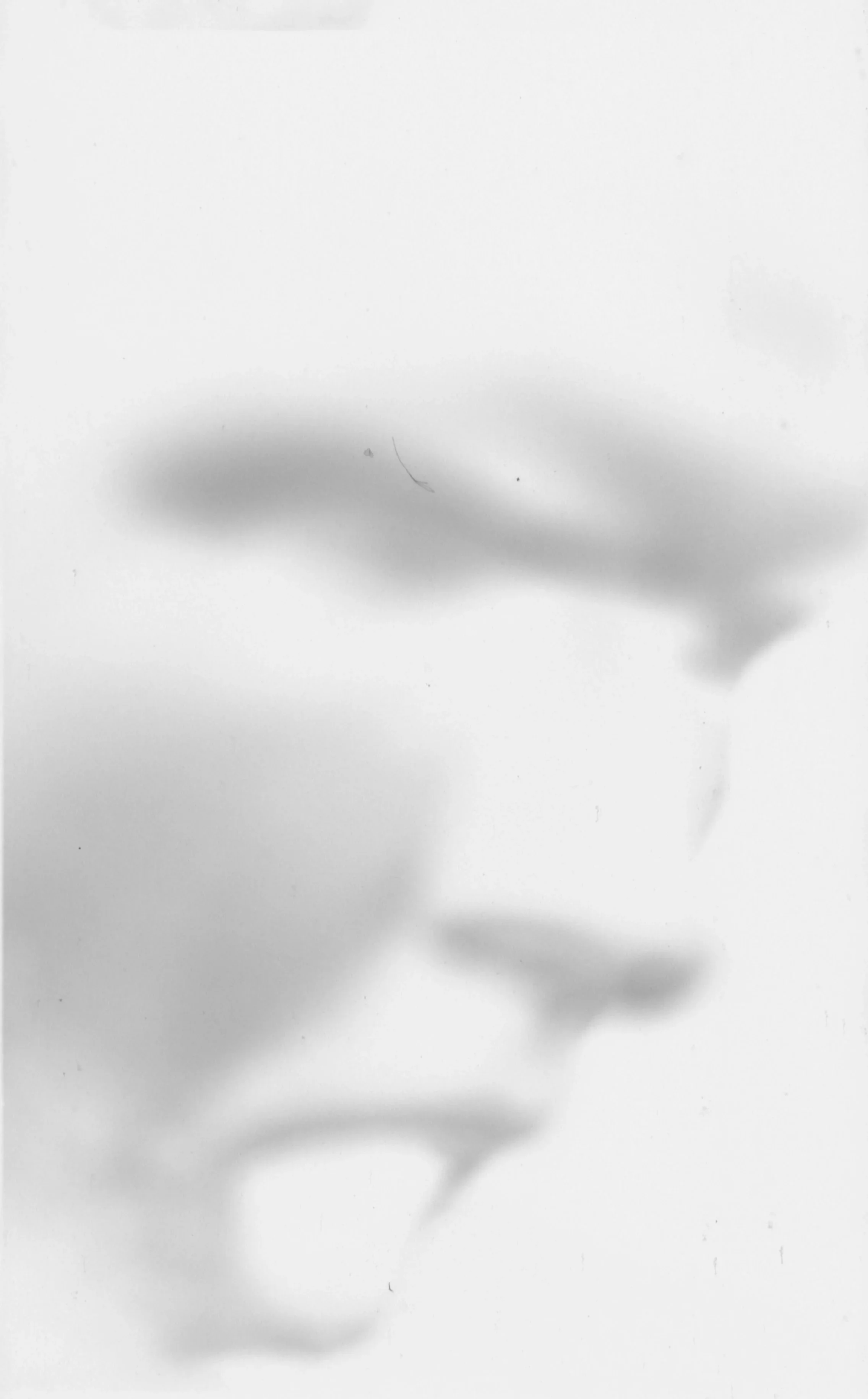 Close-up of a white surface with soft shadows and faint hairs or fibers.