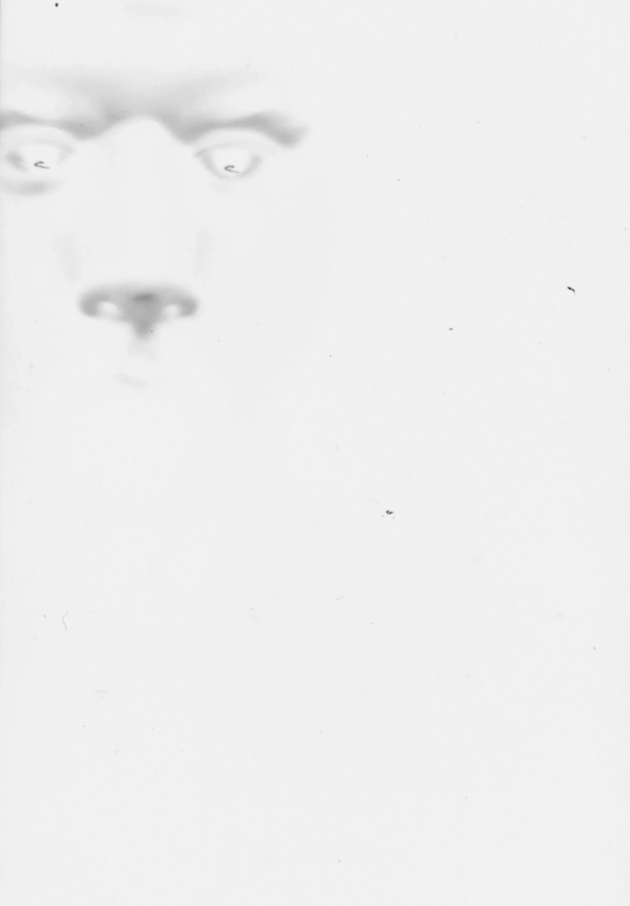 A black and white, high-contrast image showing a partial face with piercing eyes and a nose, with the rest of the face blending into the white background.