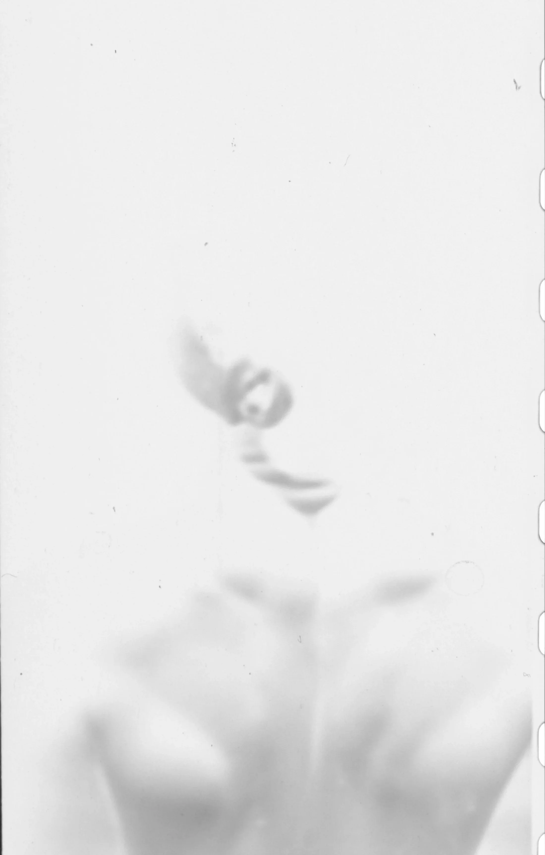 A black and white photograph of a small, curled object on a plain white surface, possibly a piece of fabric or paper.