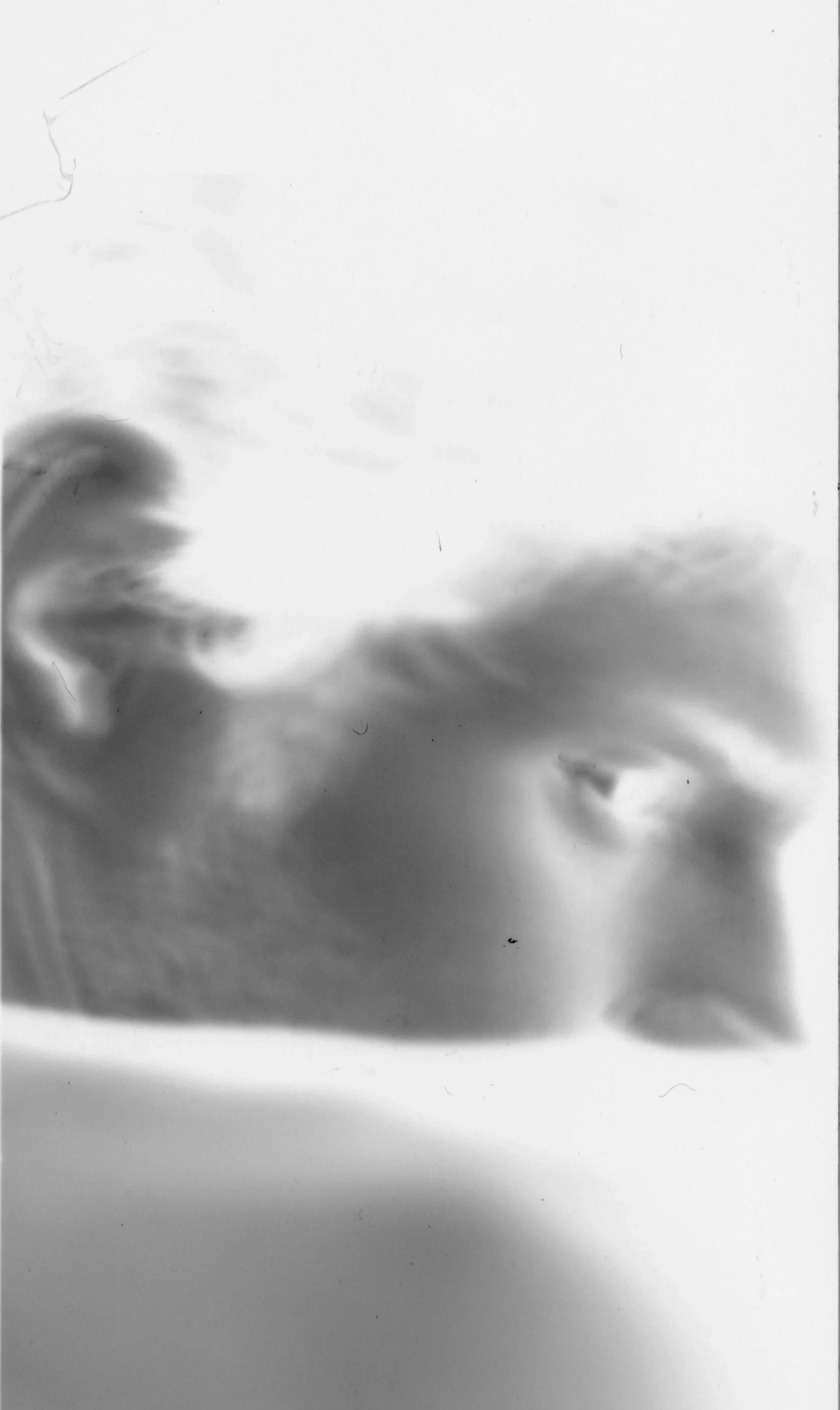 A grayscale image with blurred swirling shapes and a mostly white background, with some darker areas.