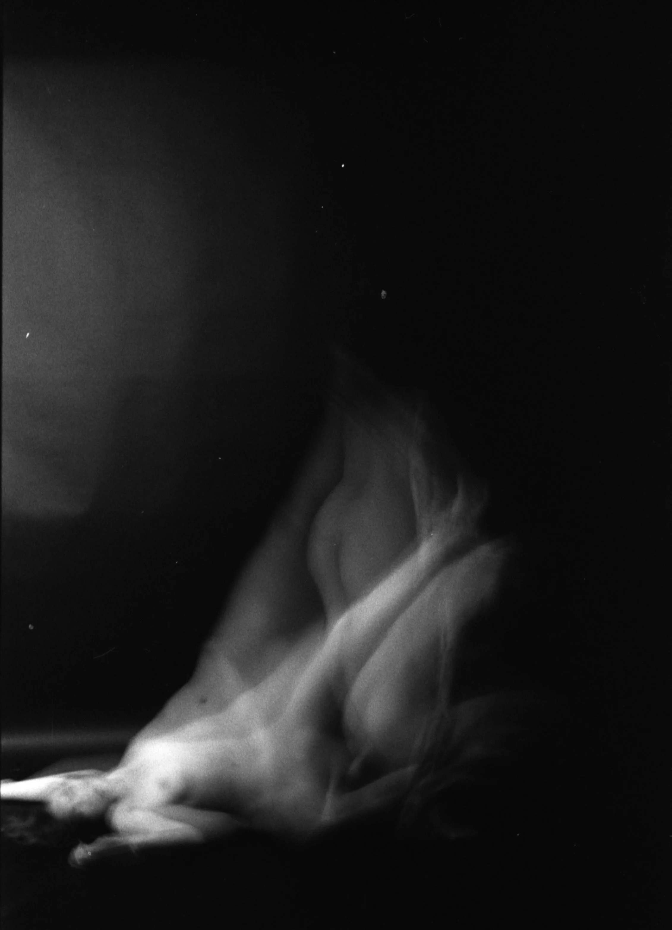 Black and white photograph of a close-up of a frog sitting on a surface, with a dark background and some faint dust particles visible.