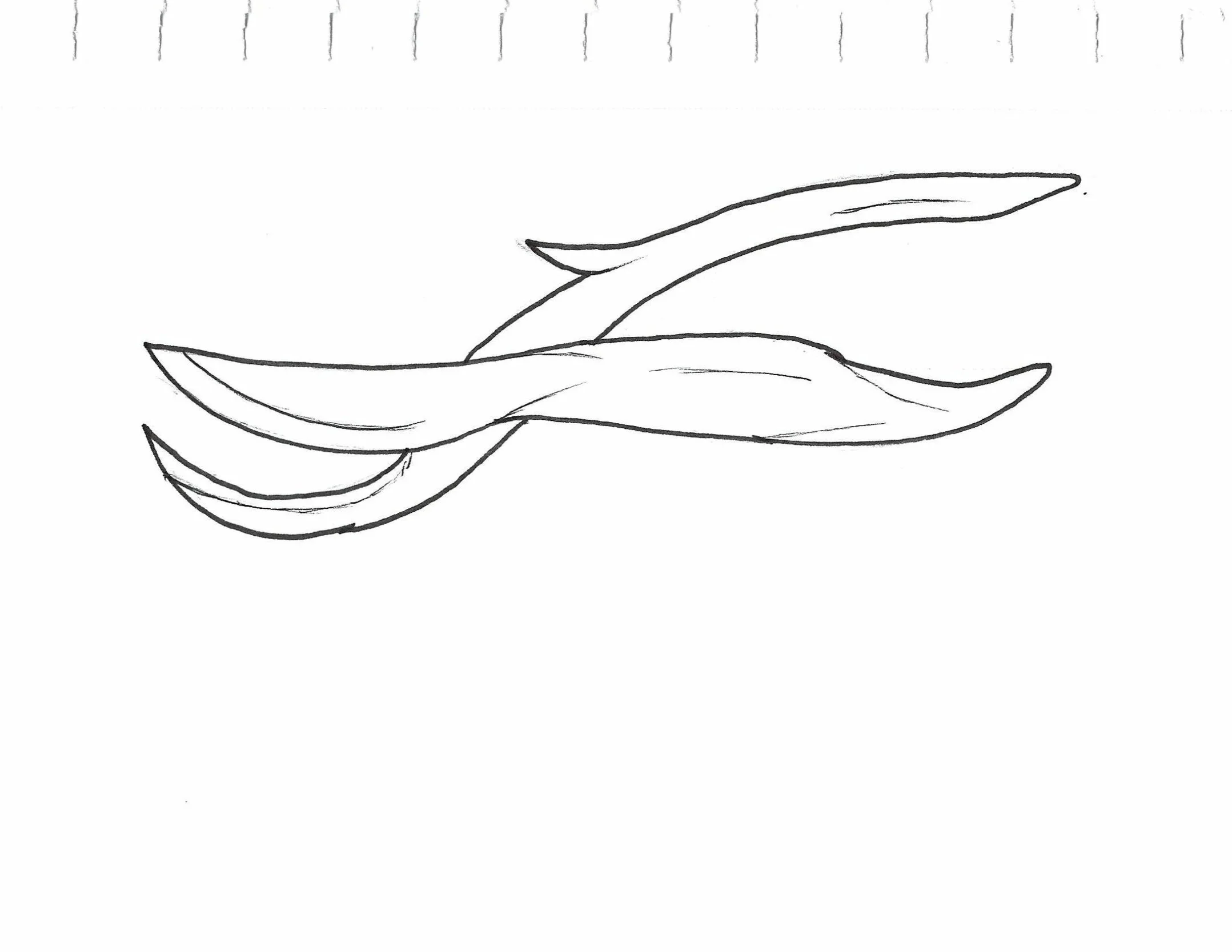 scan_20260508180638_006.jpg