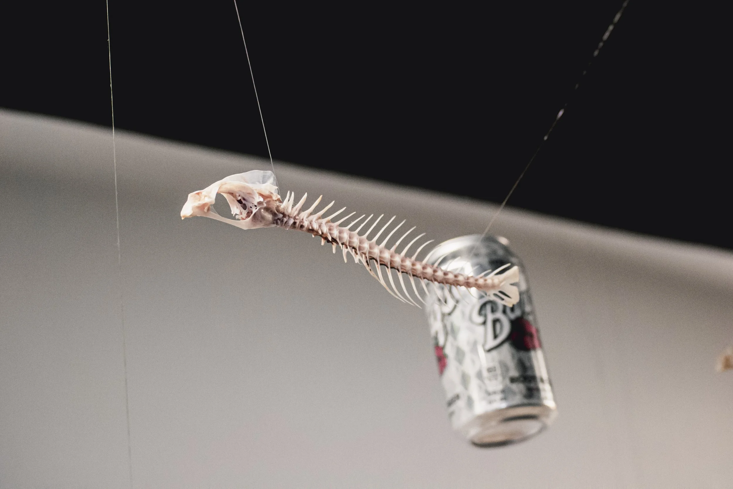 Under The Cans