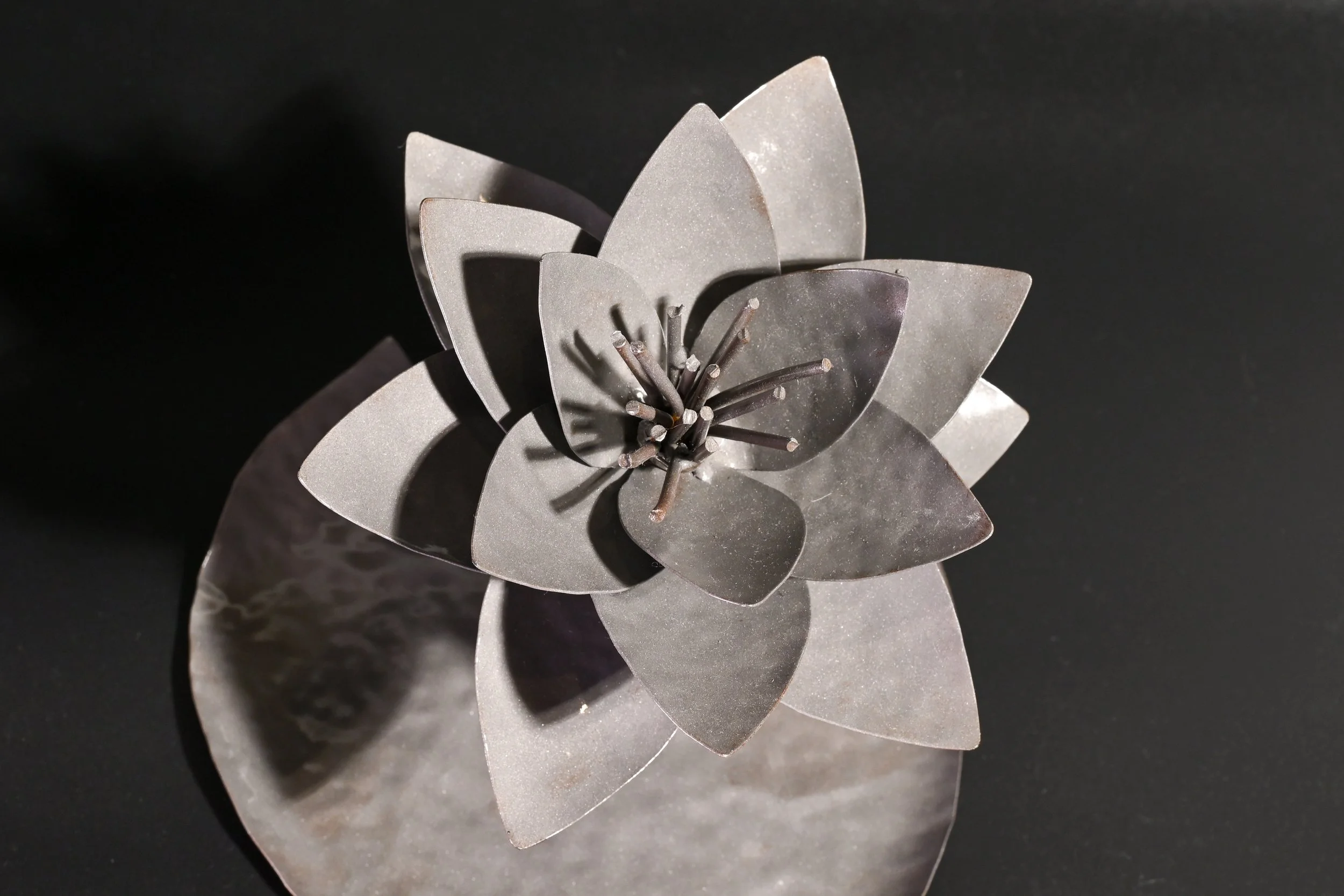 Lotus Flower