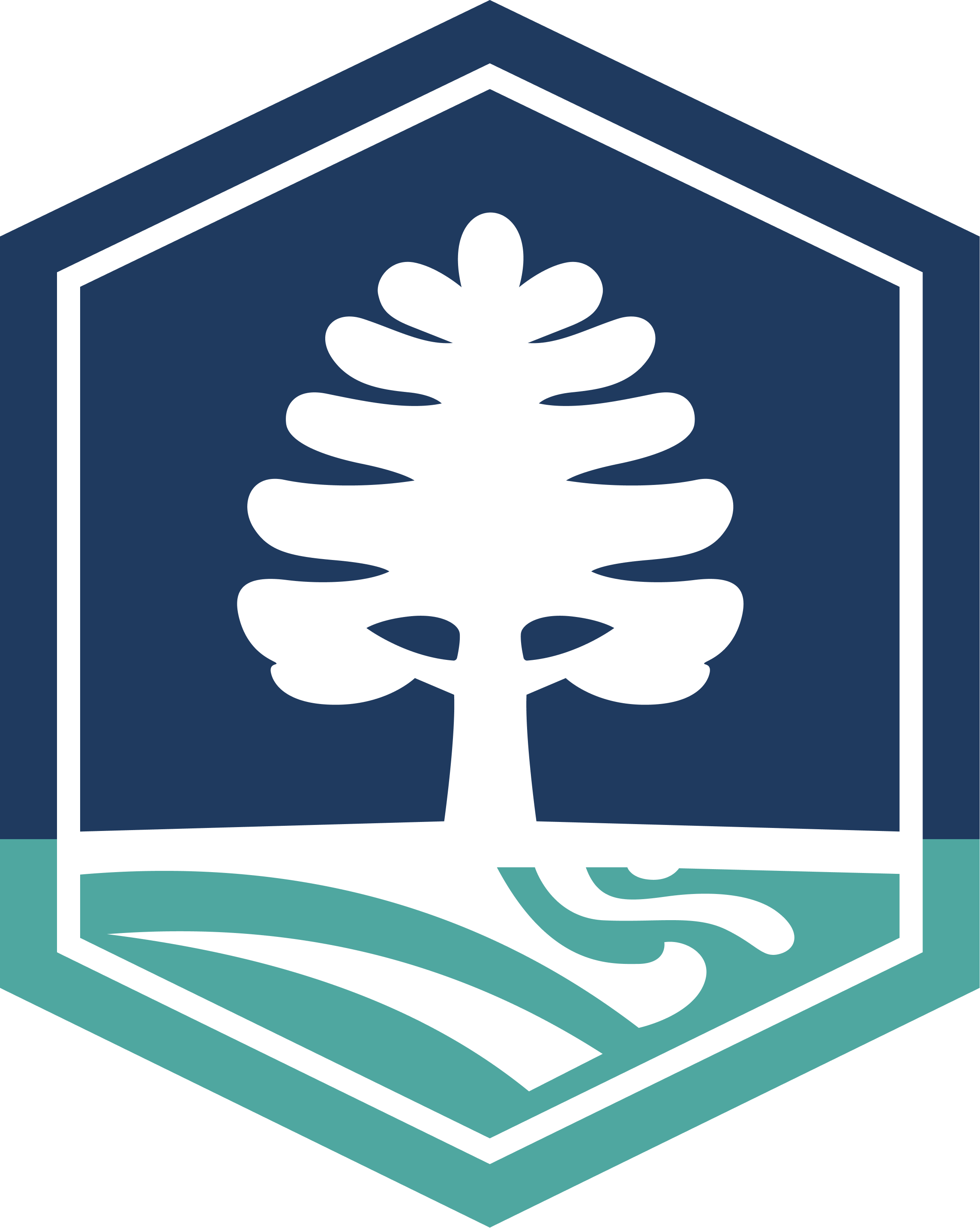 Bunya Bookkeeping logo.
