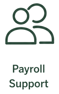 Payroll support services.