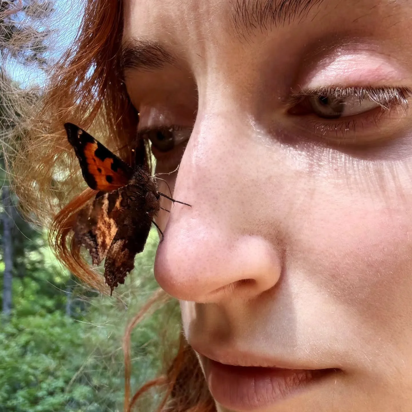 They don't call me the bug whisperer for nothing.
Such a magical trip 🥺💧
