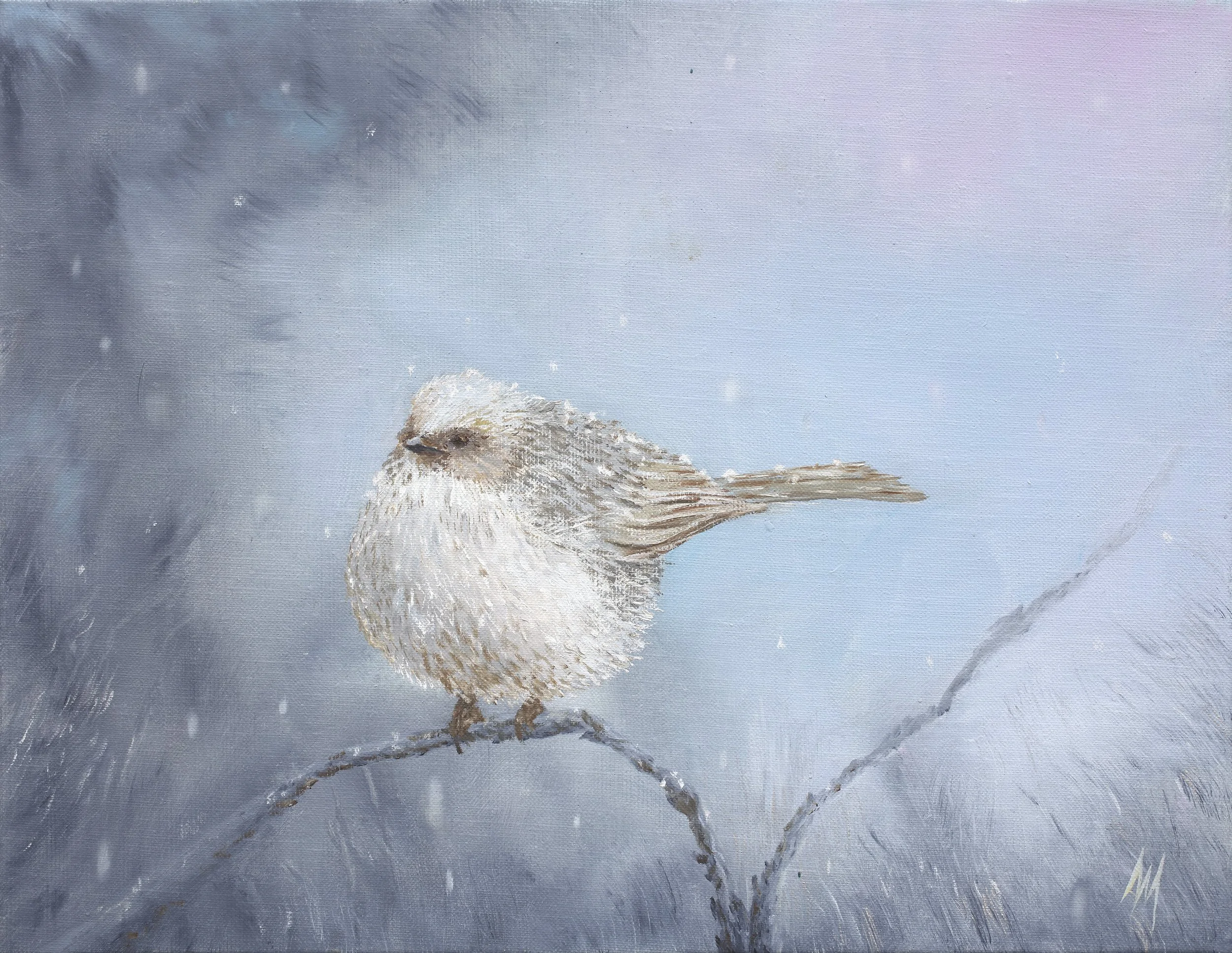 Bushtit