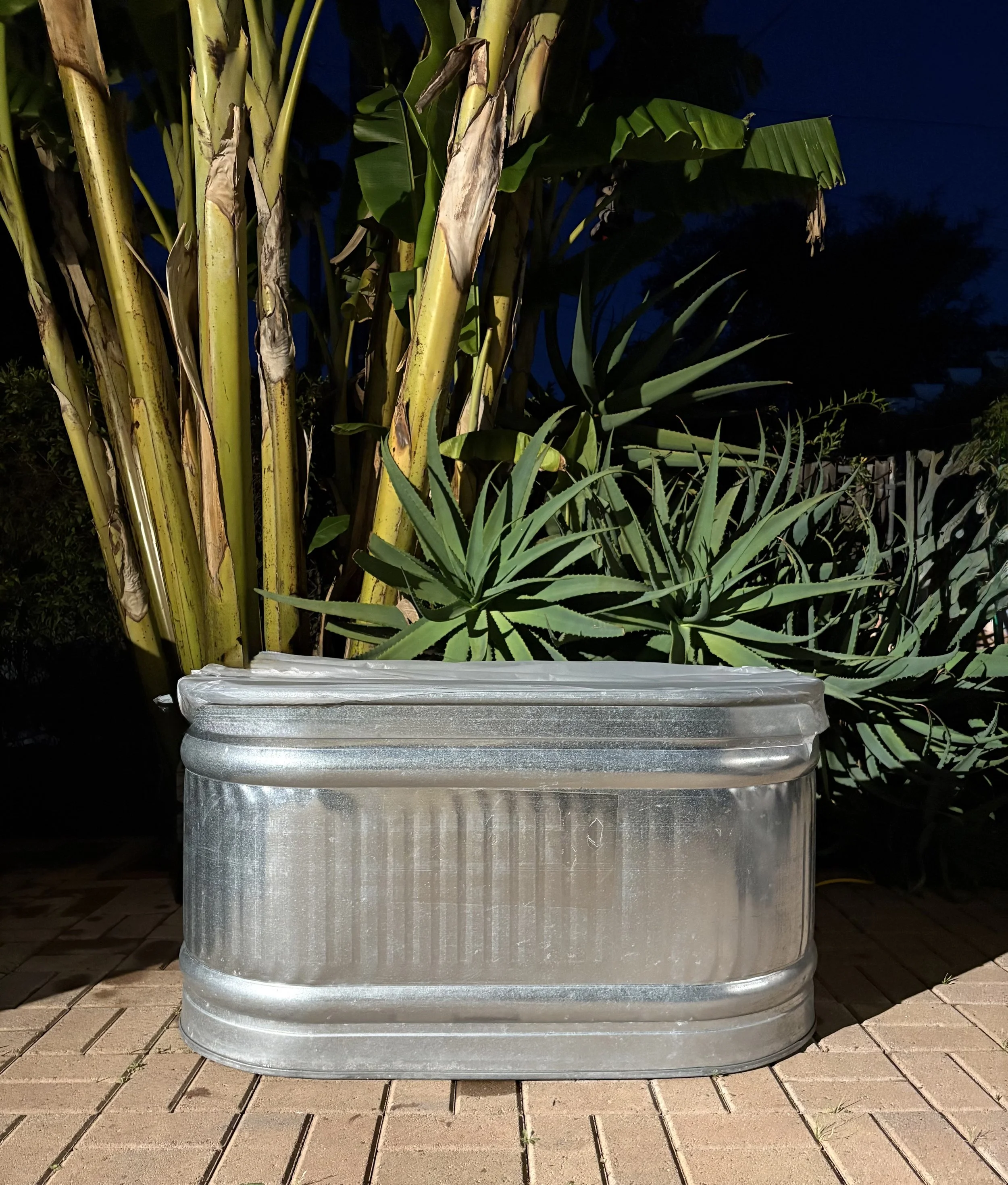 Cold Plunge Recovery Session