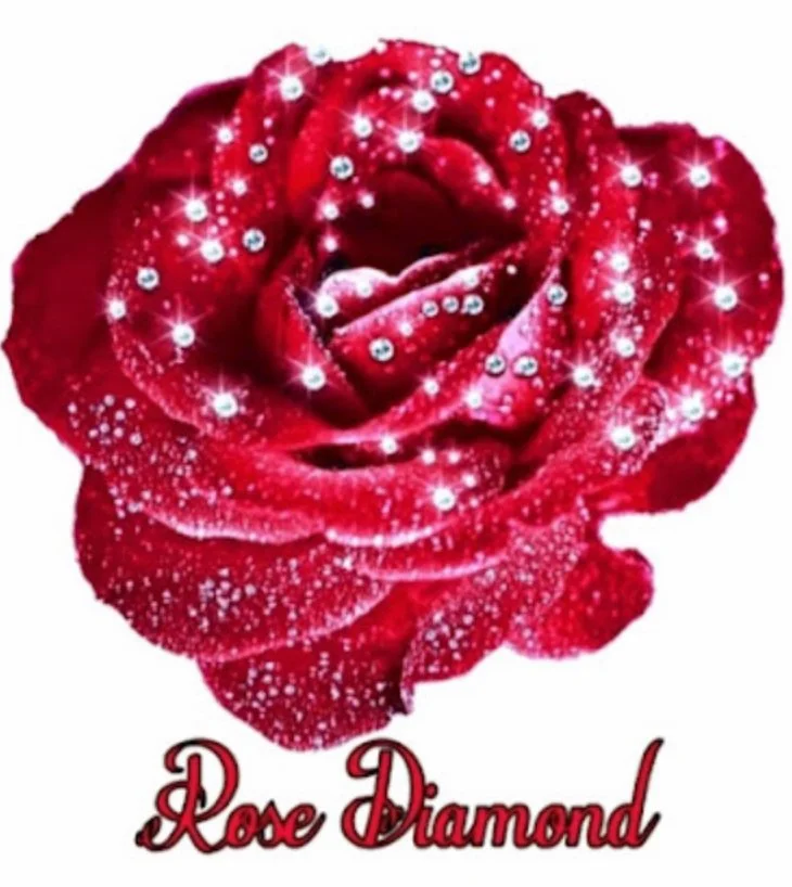 Rose Diamond ENT &amp; Services 