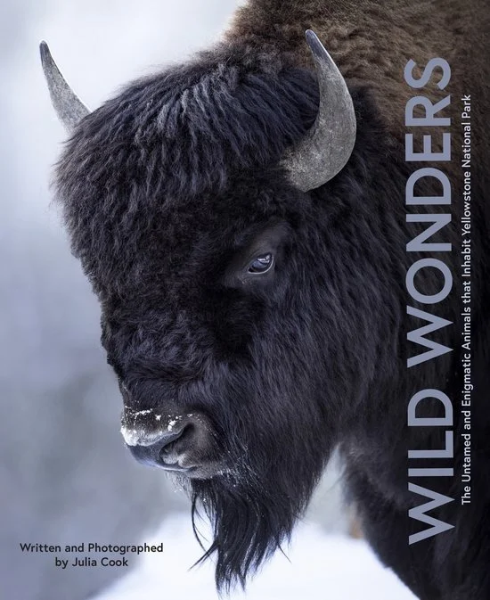 wild wonders cover.jpg