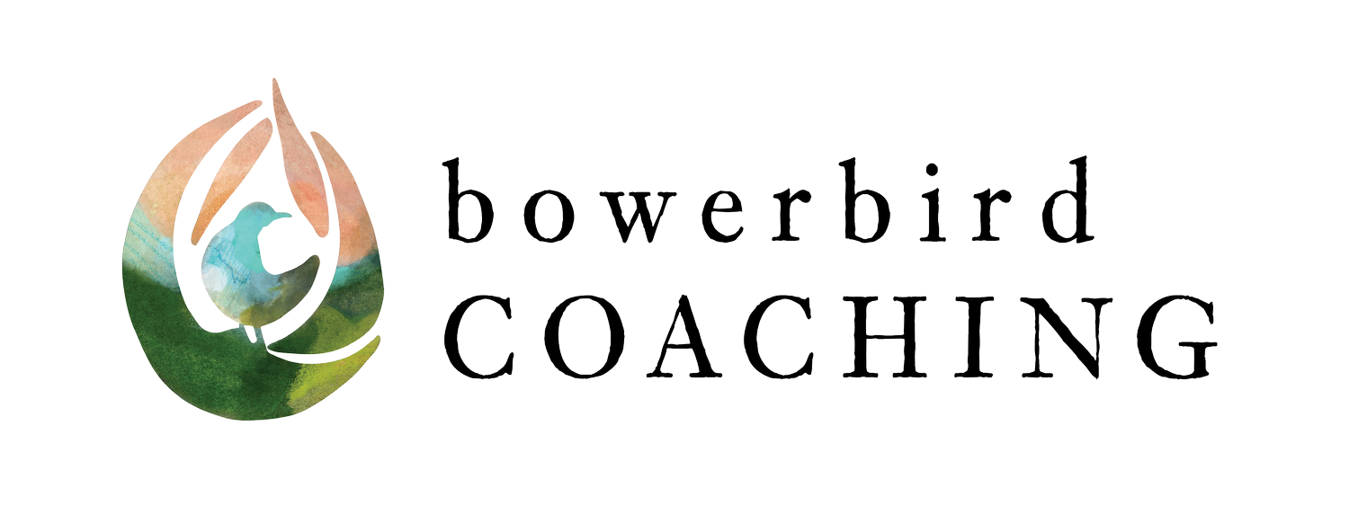 Bowerbird Coaching