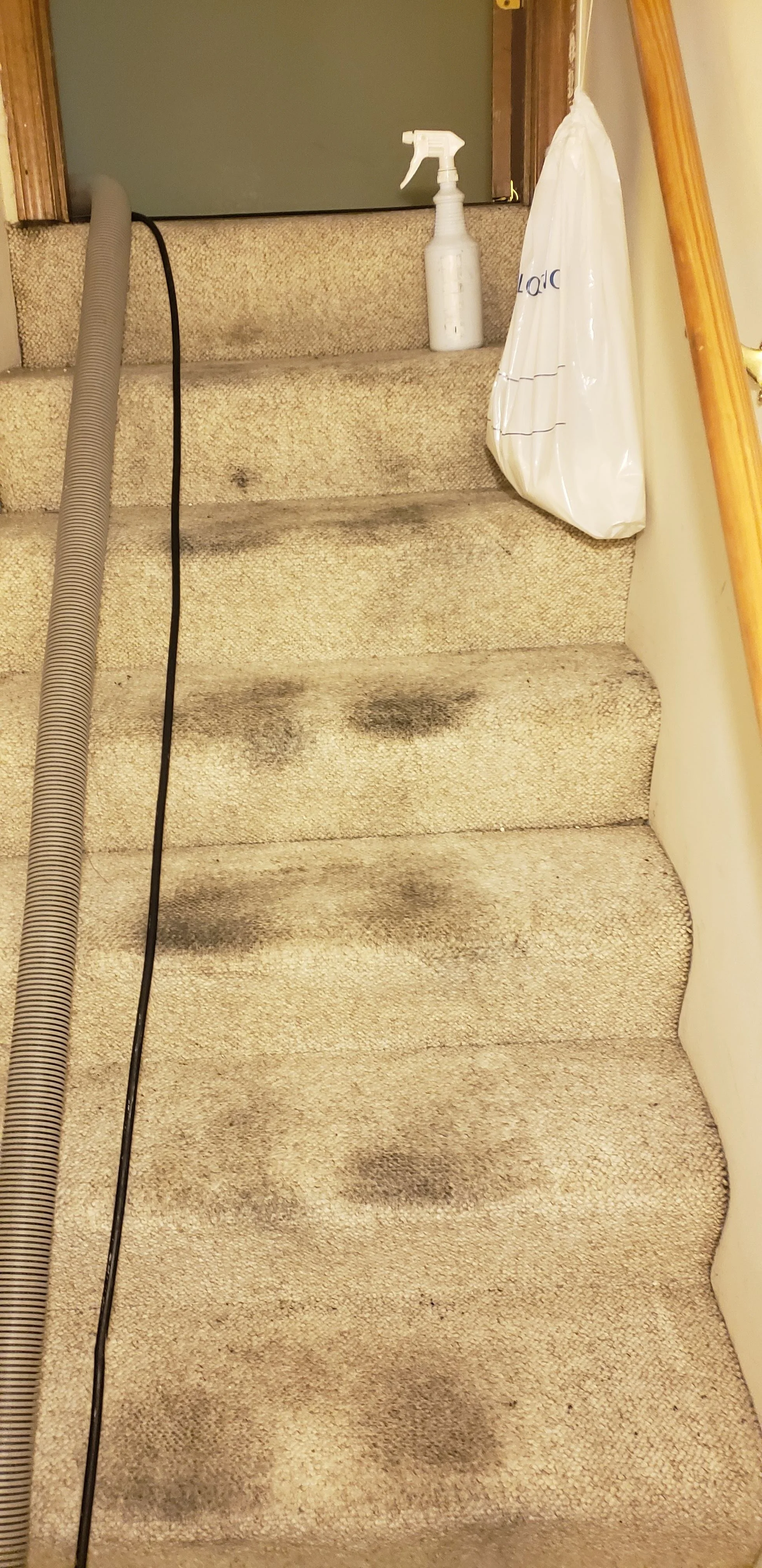 Carpeted staircase with several dark stains and a vacuum hose resting on it. There is a bottle with a spray nozzle, a white plastic bag hanging from a wooden handrail, and part of a door or panel at the top of the stairs.