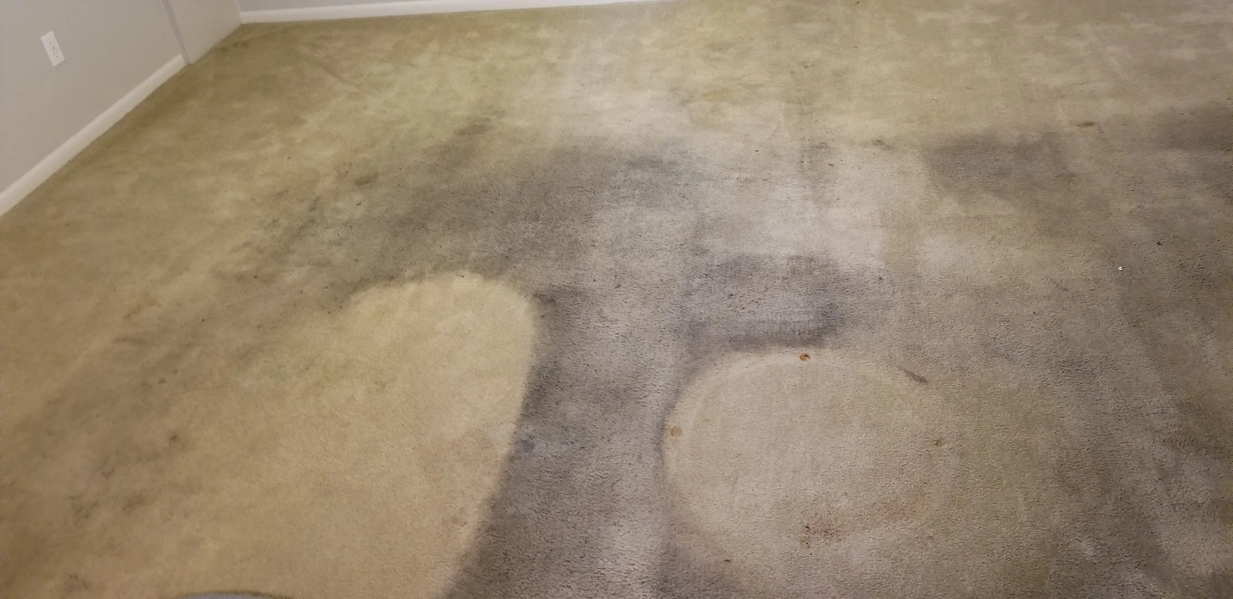 A carpeted floor with dirty and stained areas, mostly beige with some dark spots and discoloration. The room has a corner with a wall and electrical outlet visible.