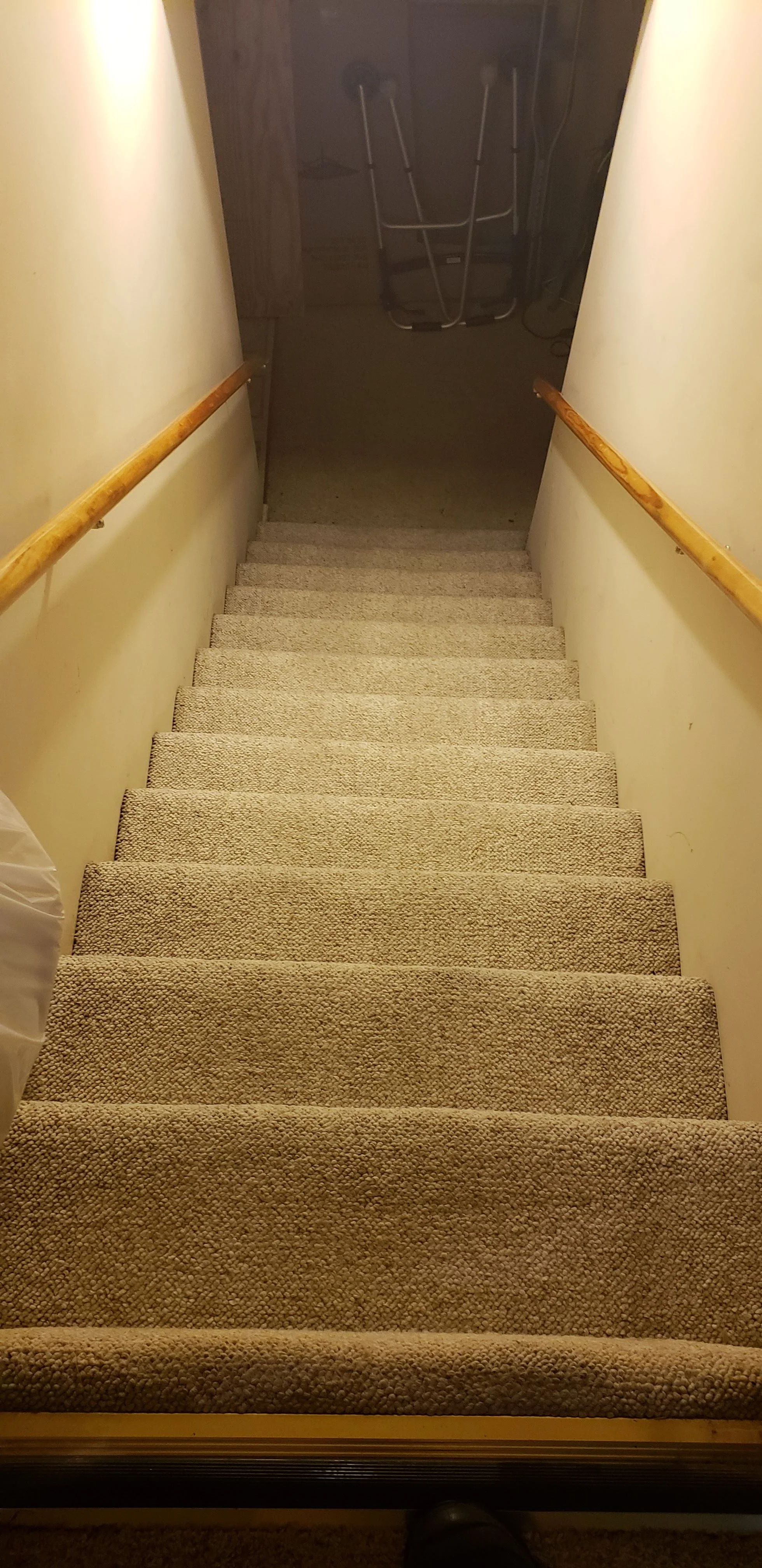 Indoor staircase with beige carpet and wooden handrails leading down to a darker basement area with exercise equipment visible.