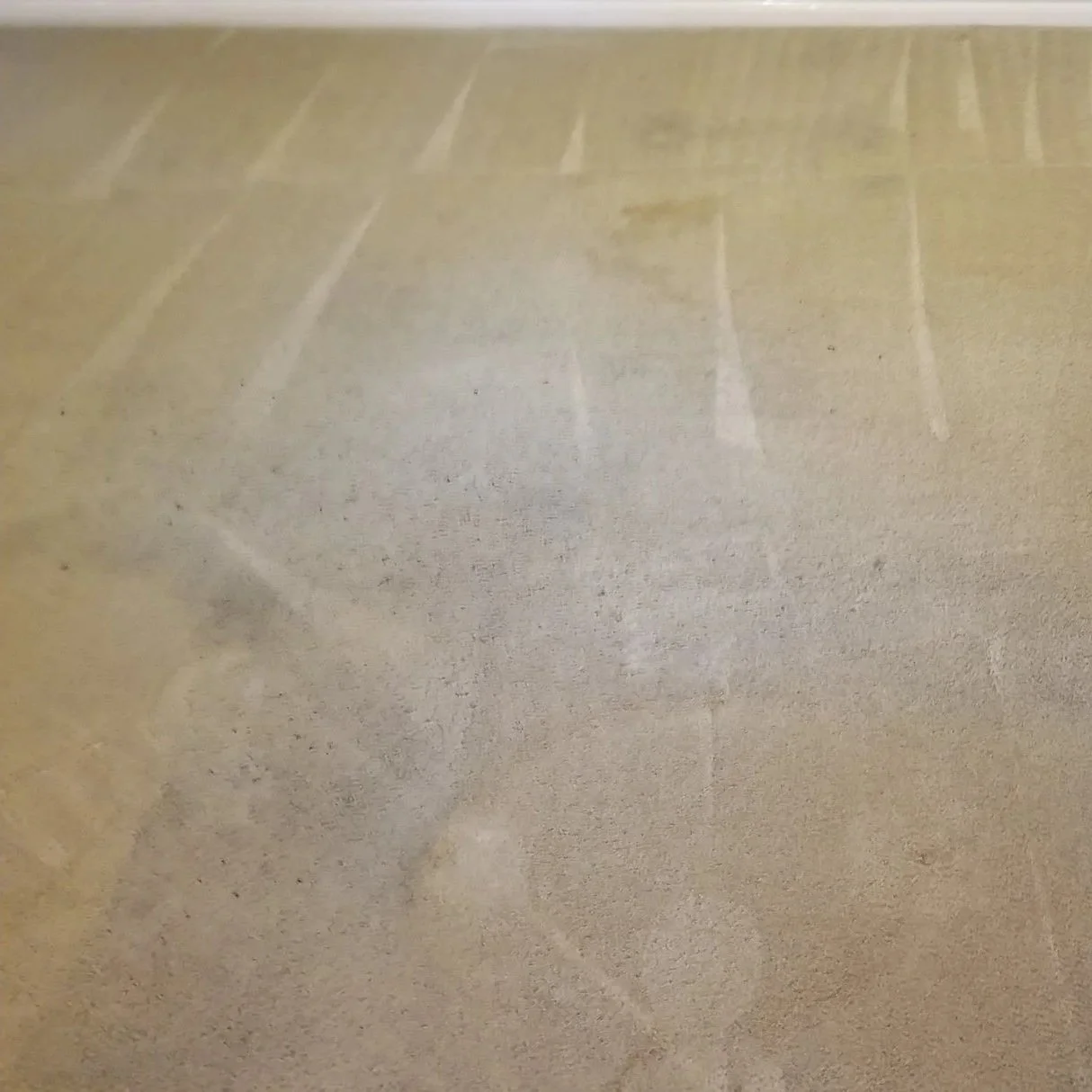 A beige carpeted floor with visible vacuum cleaner marks and a wall at the top of the image.