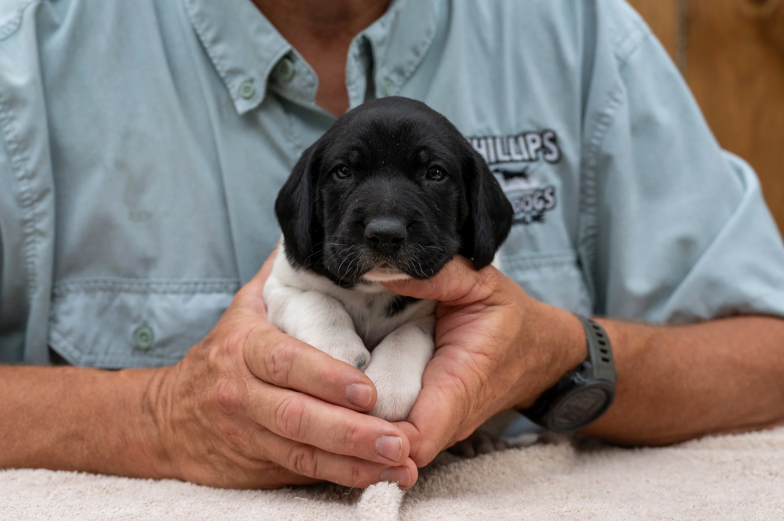Black & White Male