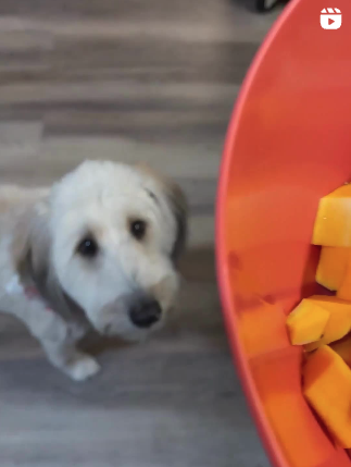 Screenshot 2025-07-20 at 7.08.14 PM.png