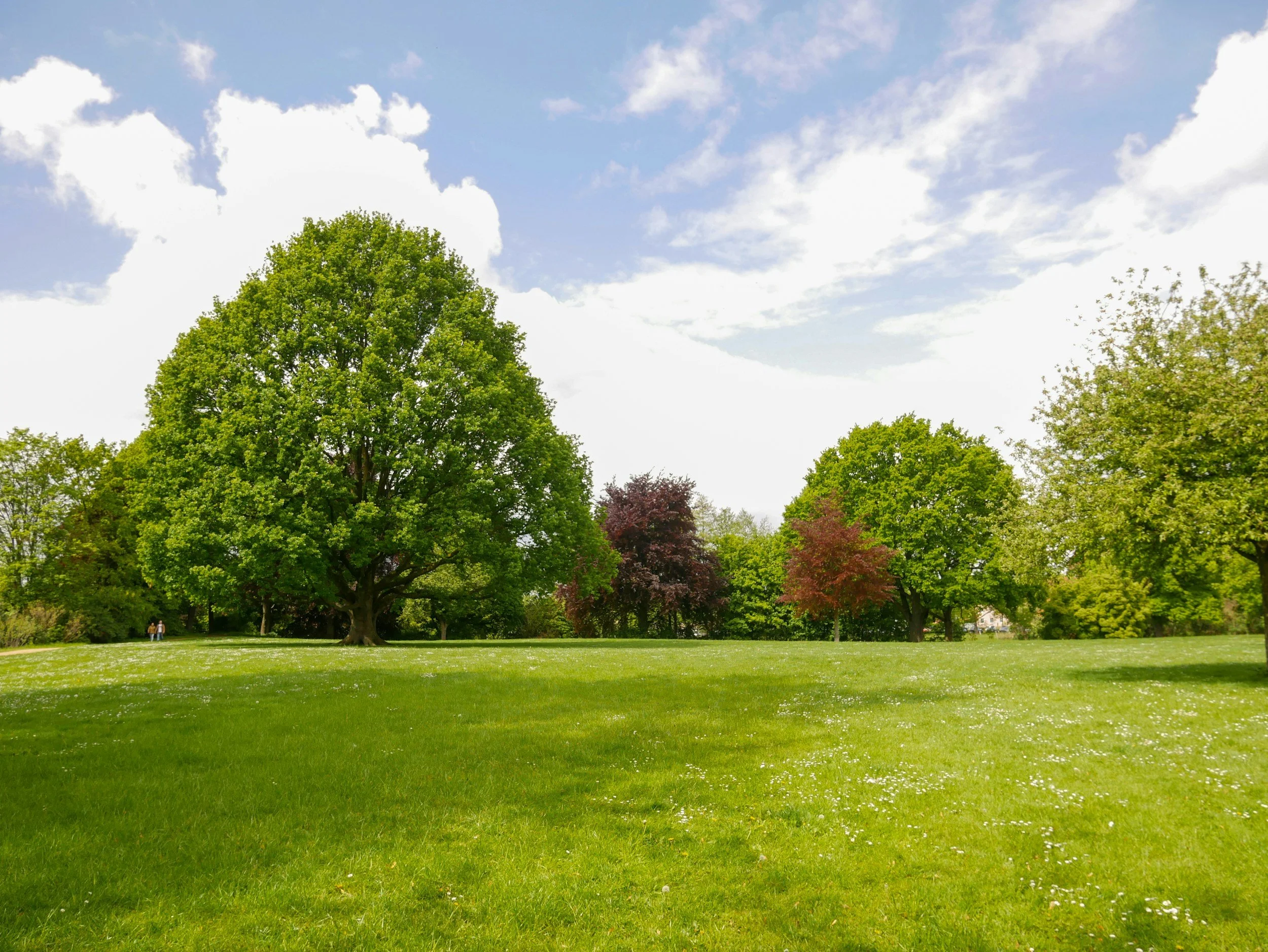 A green park with trees and a grassy field under a partly cloudy sky.