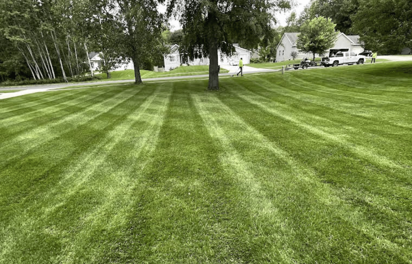 Well-maintained green lawn with alternating light and dark stripes, trees, a sidewalk, and houses in the background.
