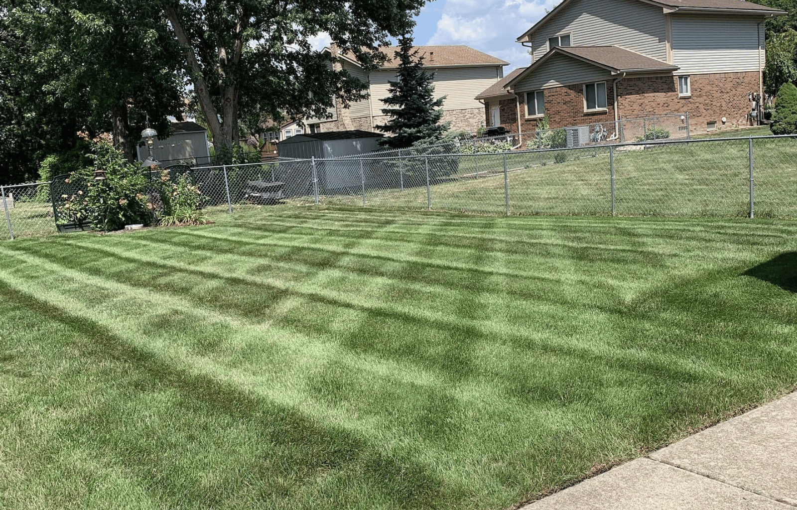 A well-maintained backyard with freshly mowed grass showing striped patterns, surrounded by a chain-link fence, with trees and neighboring houses visible in the background under a partly cloudy sky.
