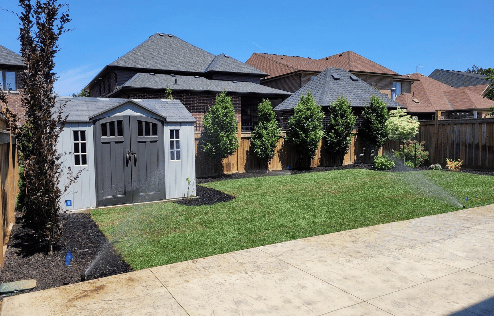 Backyard with a green lawn, a small gray shed, a wooden fence, and several trees under a blue sky.