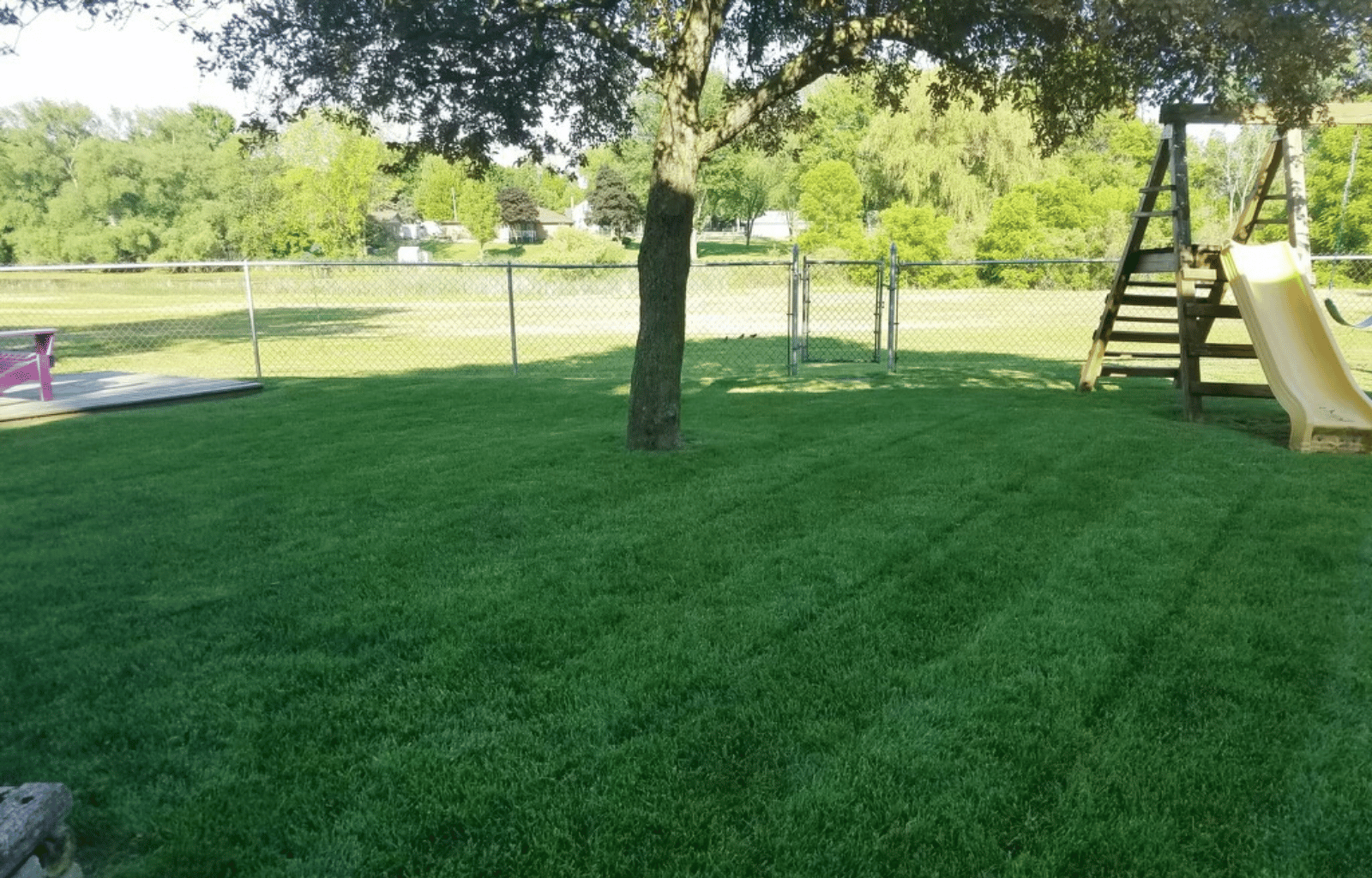 A backyard with a lush green lawn, a tree in the center, a wooden slide on the right, a purple outdoor chair on the left, and a chain-link fence enclosing the area. In the background, there are trees and houses.